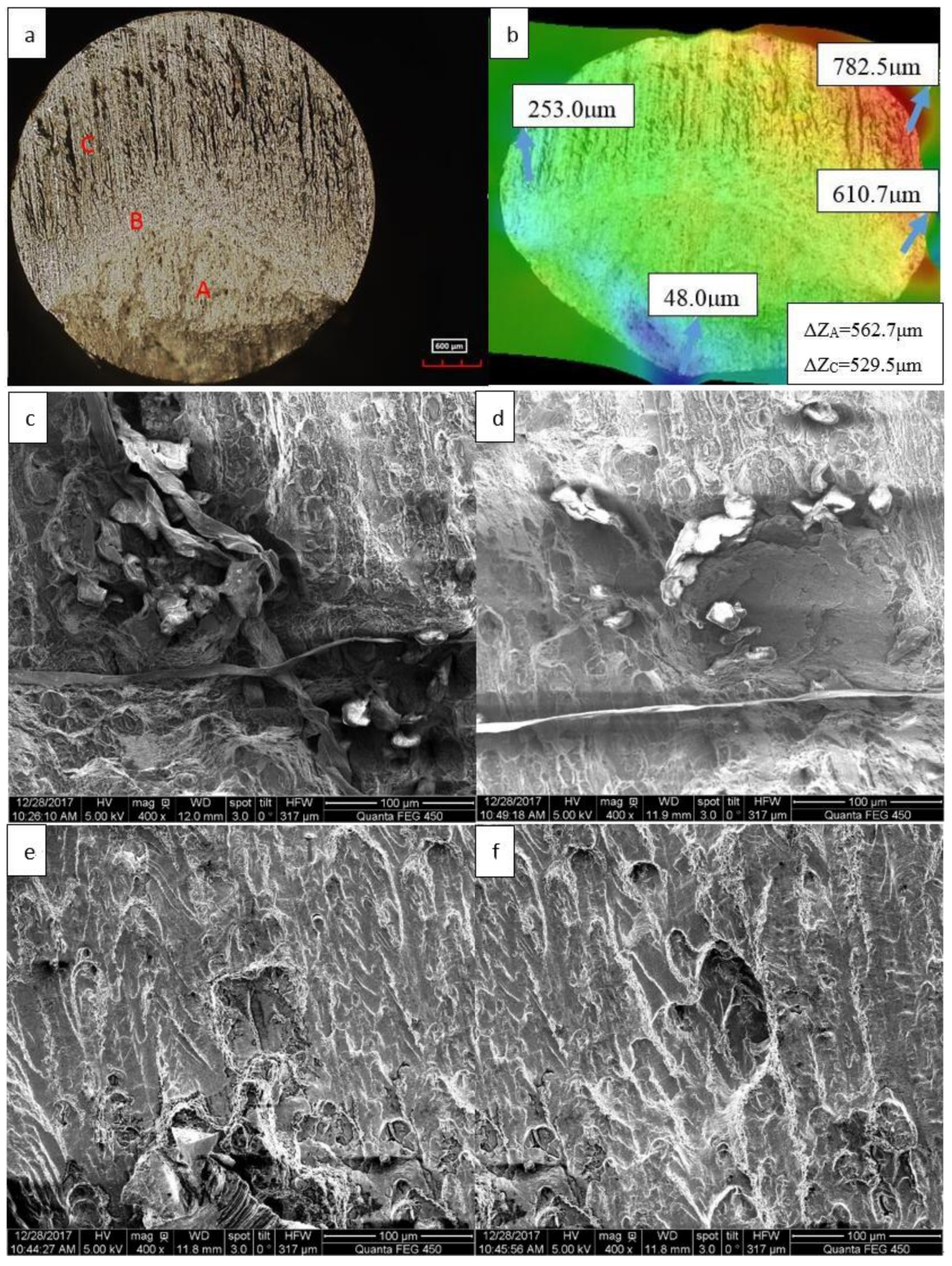 Metals 08 00210 g007 550