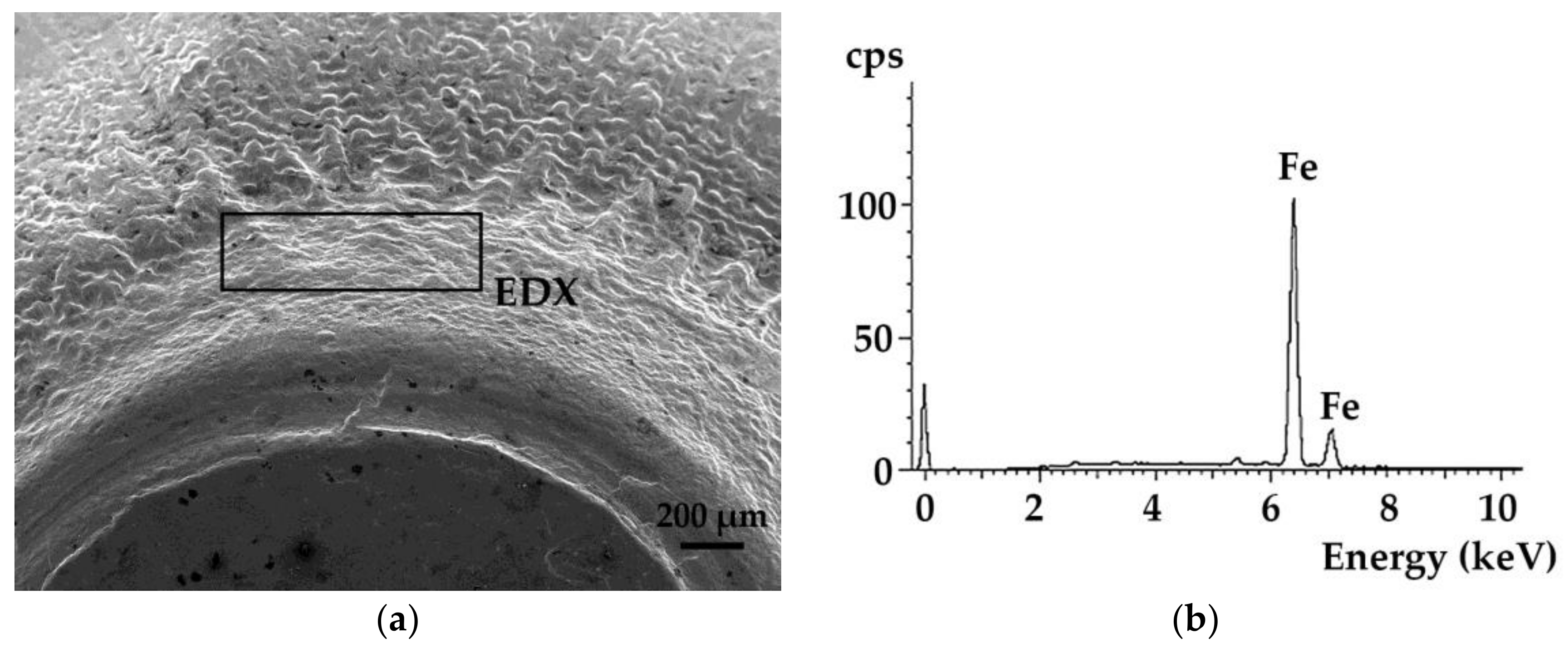 Metals 08 00218 g005