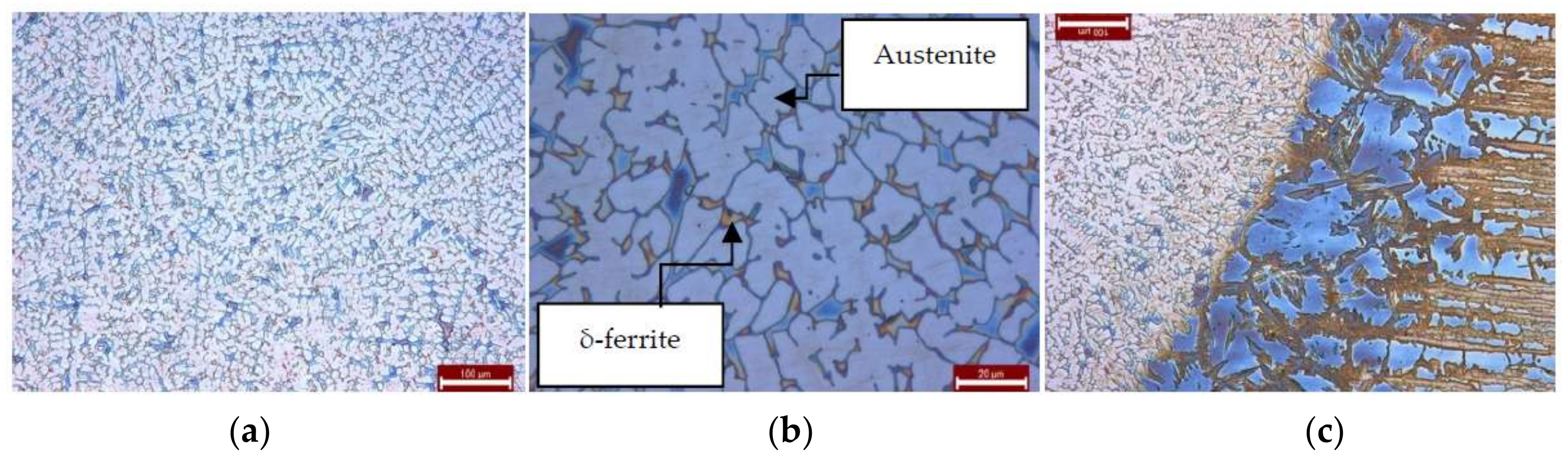 Metals 08 00226 g008 550