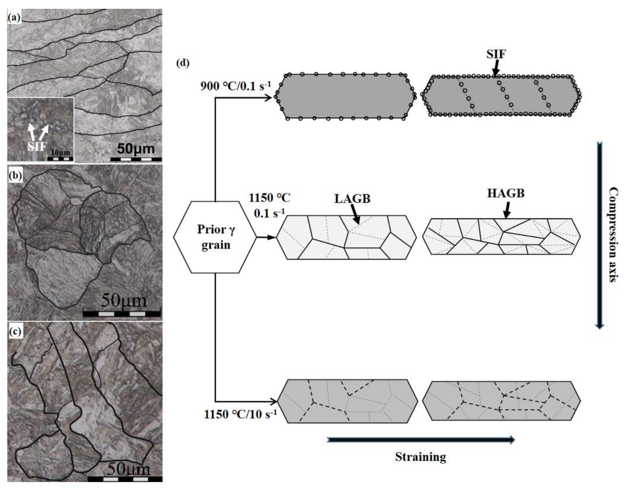 Metals 08 00243 g008 550