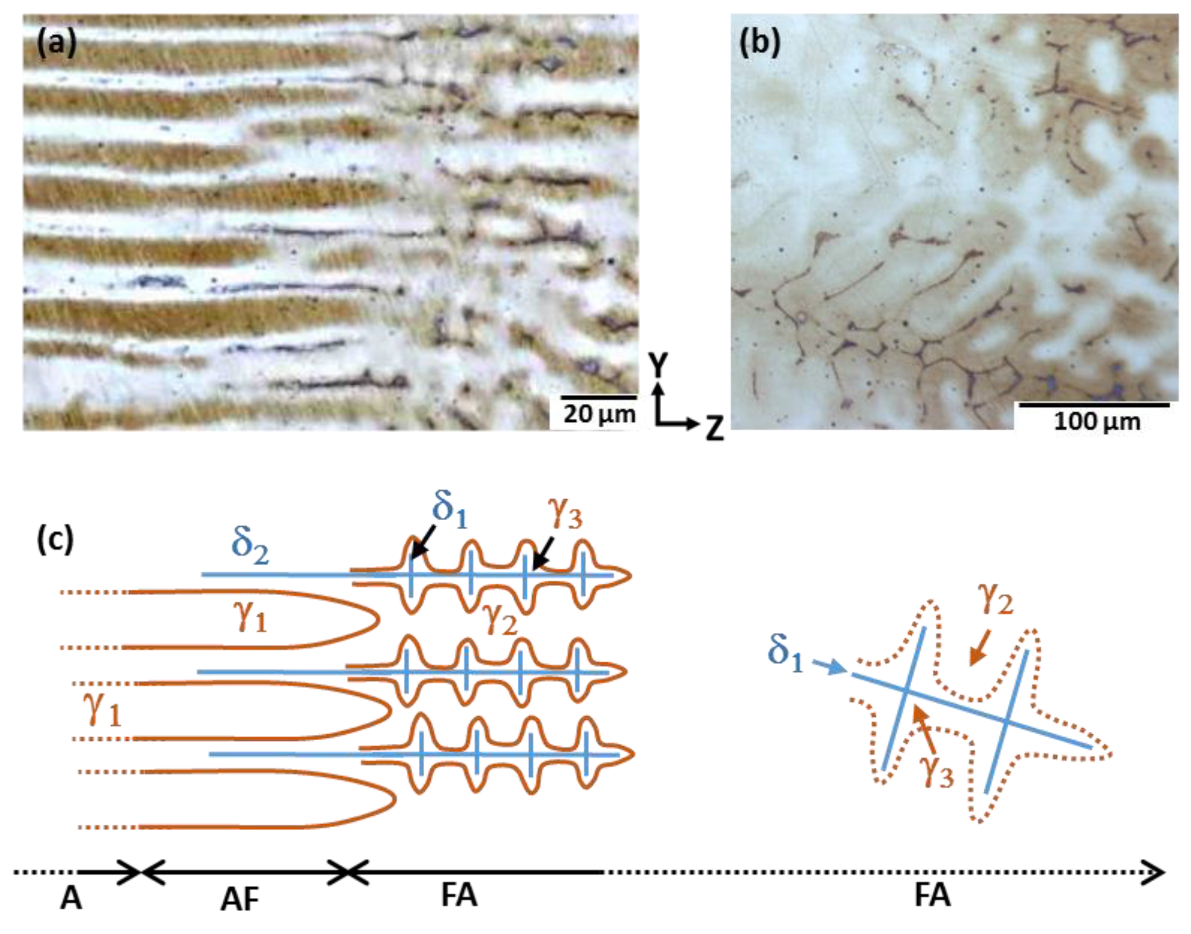 Metals 08 00284 g004 550