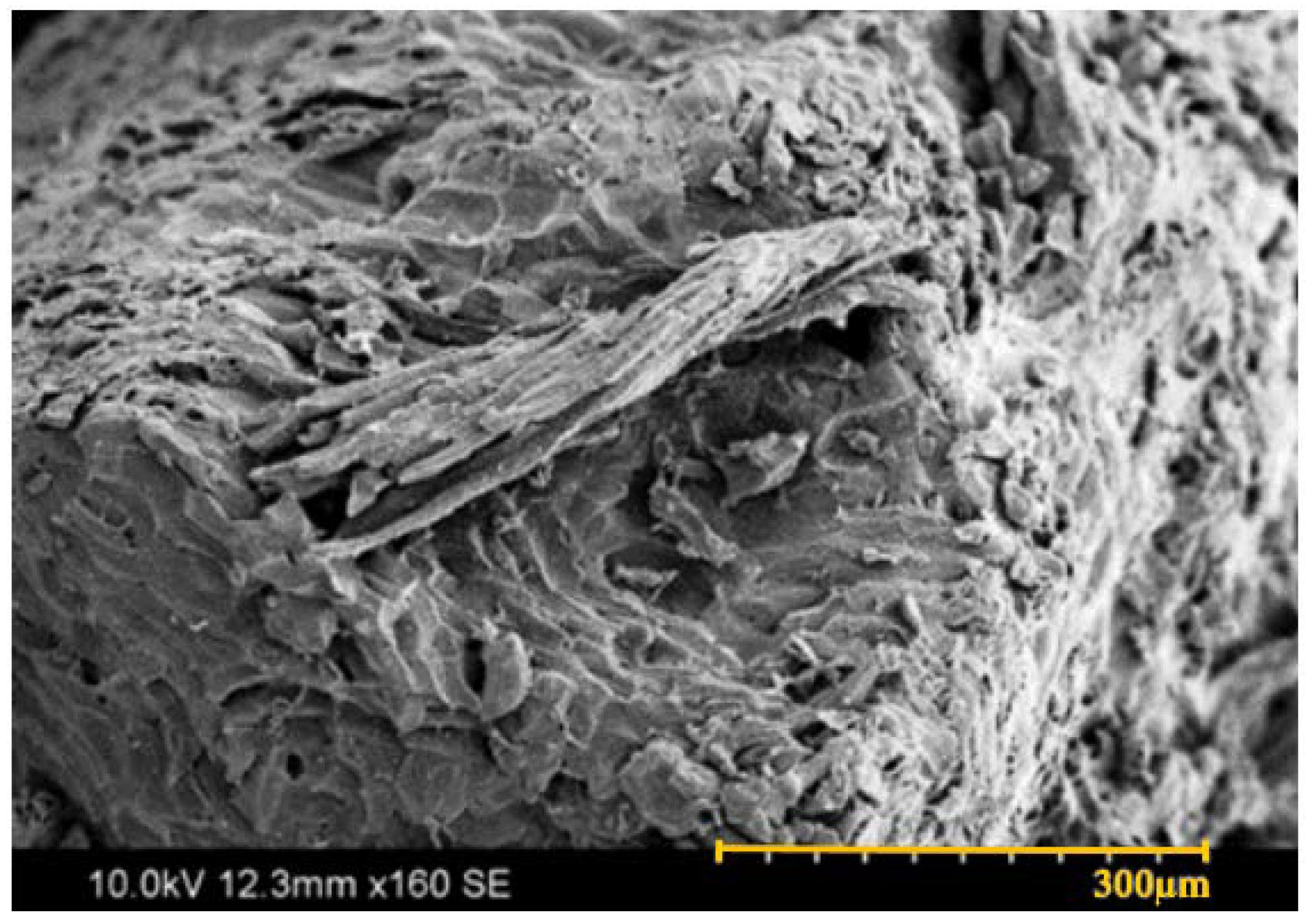 Metals 08 00290 g004