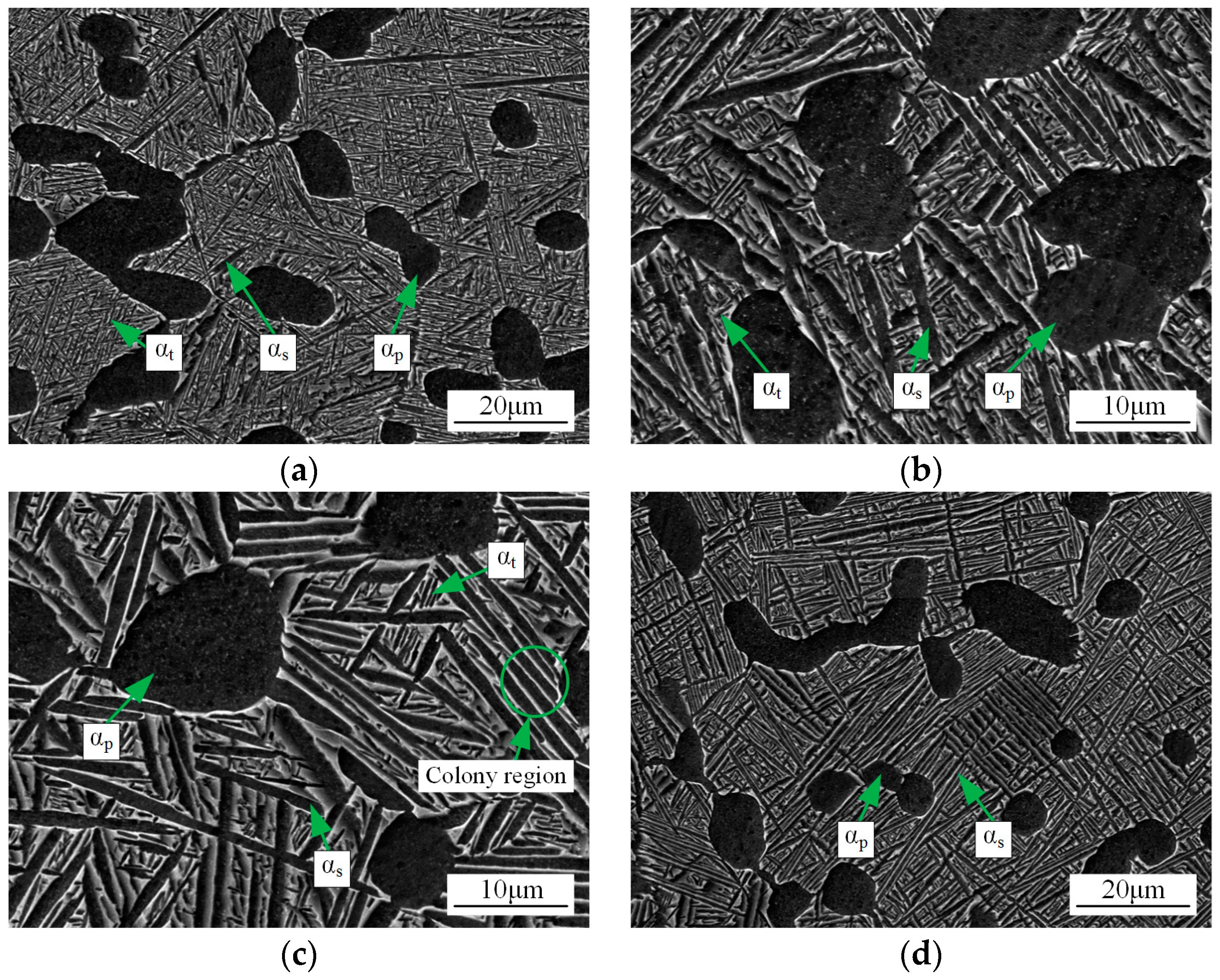 Metals 08 00299 g001