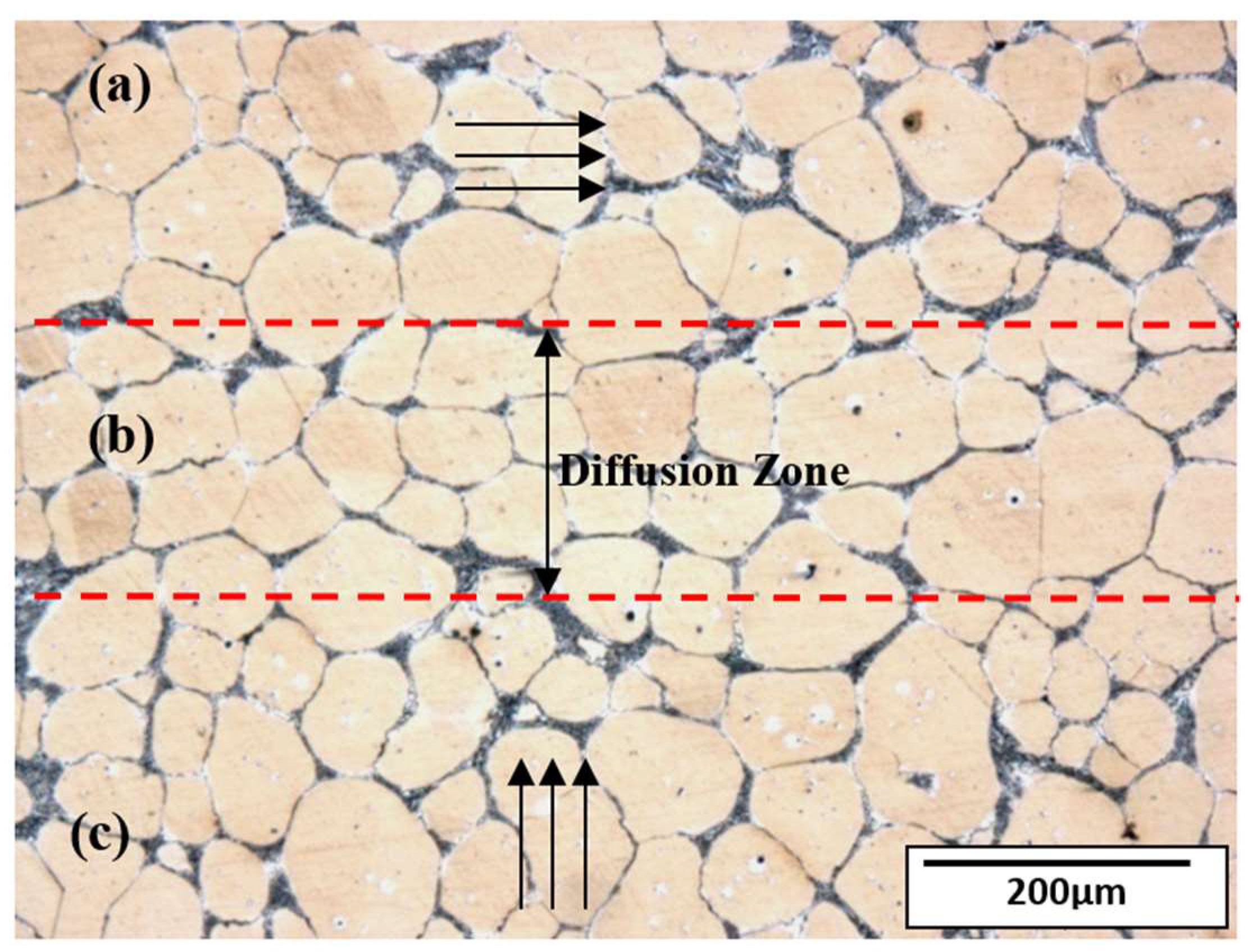 Metals 08 00316 g007 550