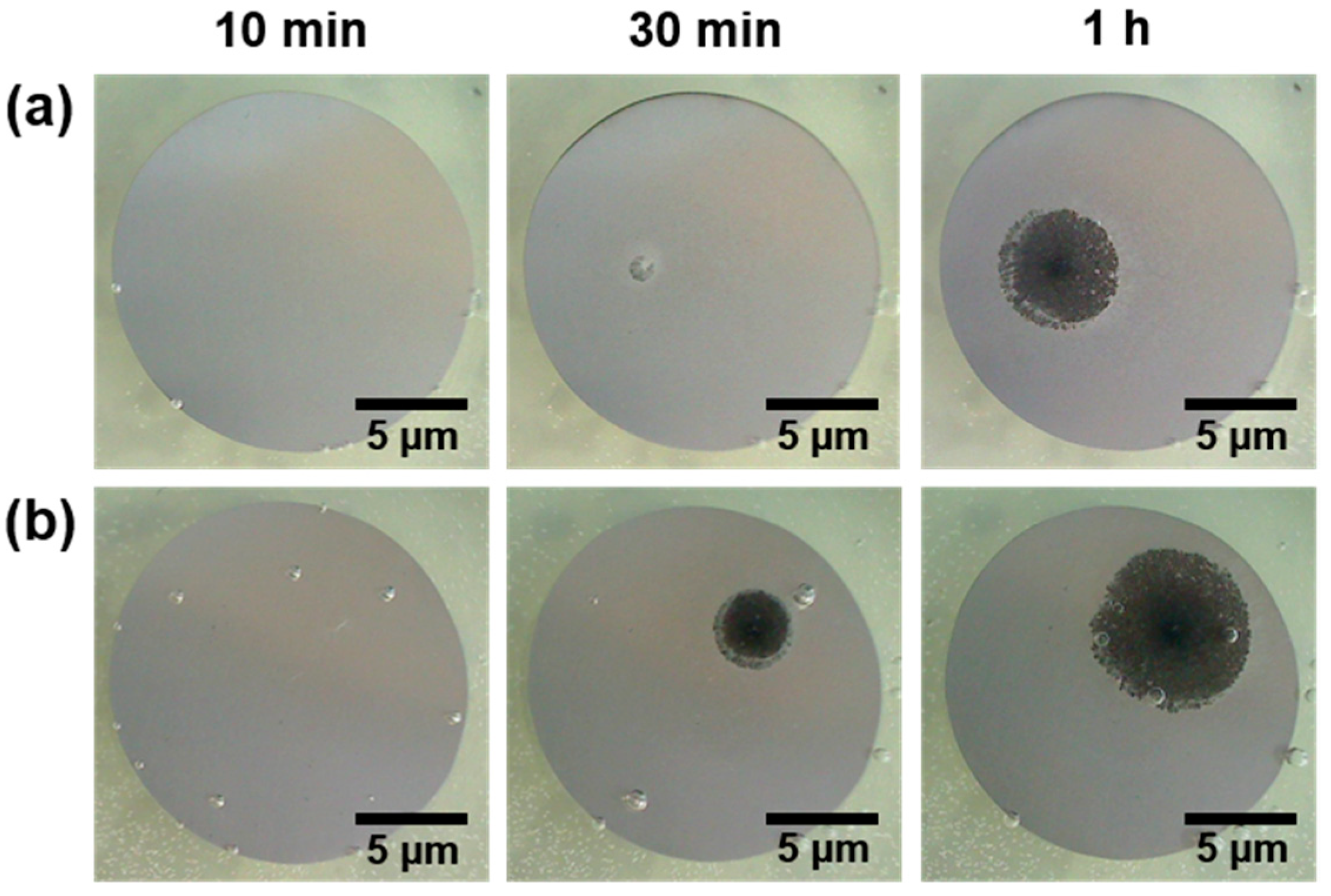 Metals 08 00323 g002