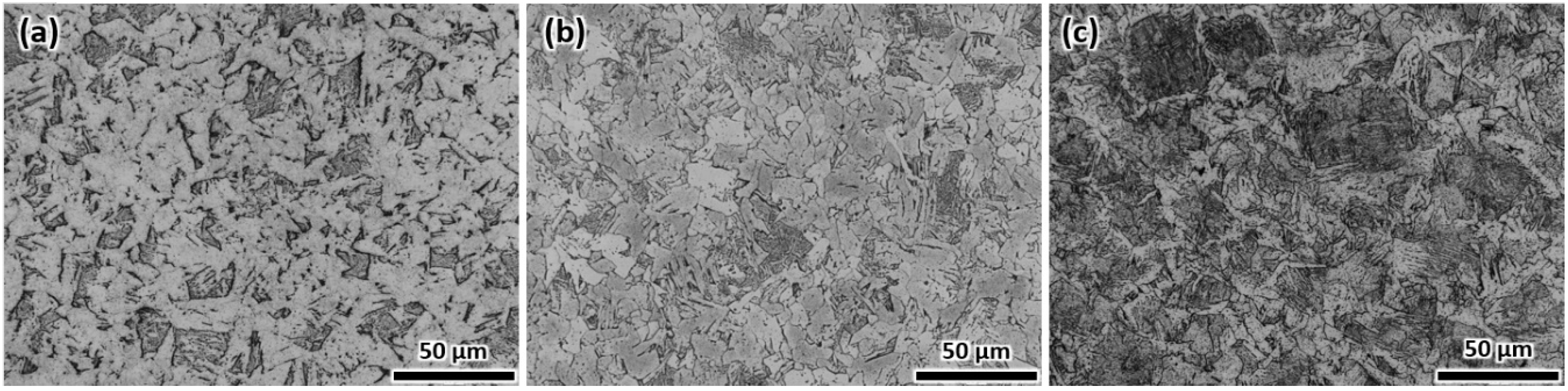 Metals 08 00360 g001