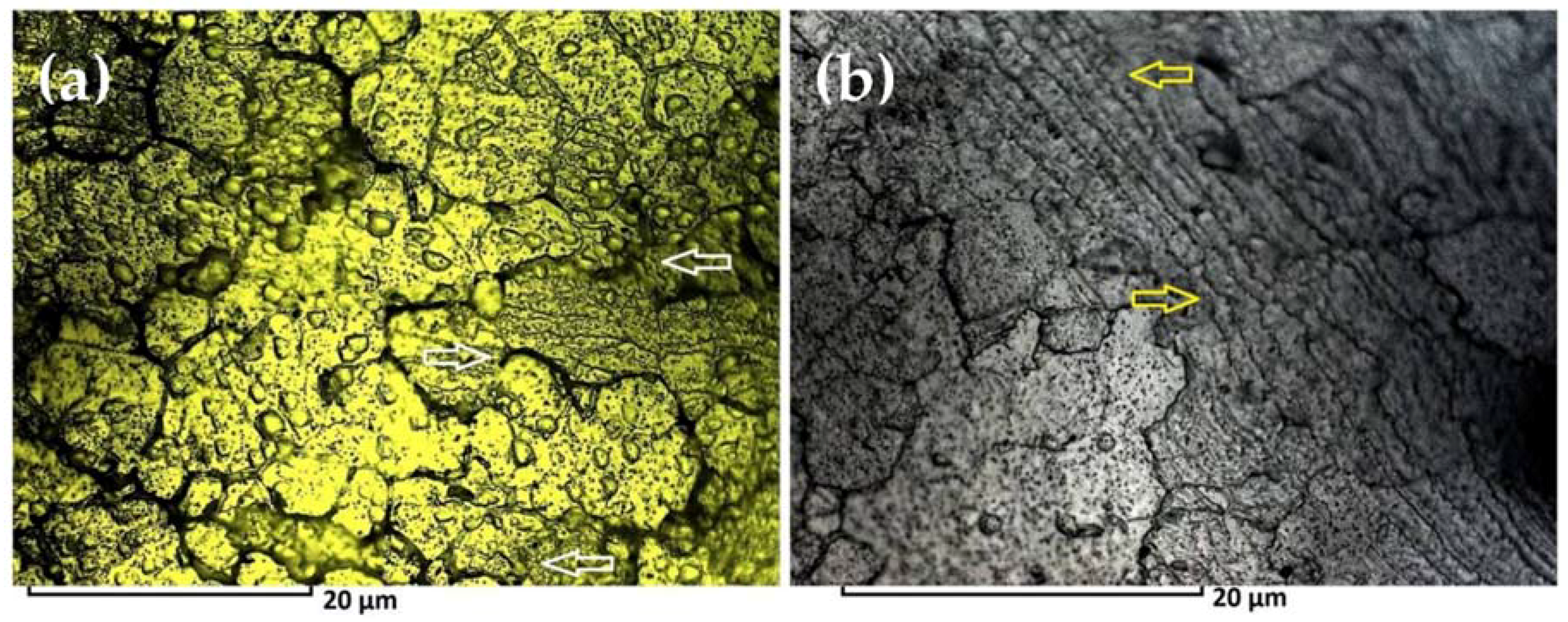 Metals 08 00375 g005