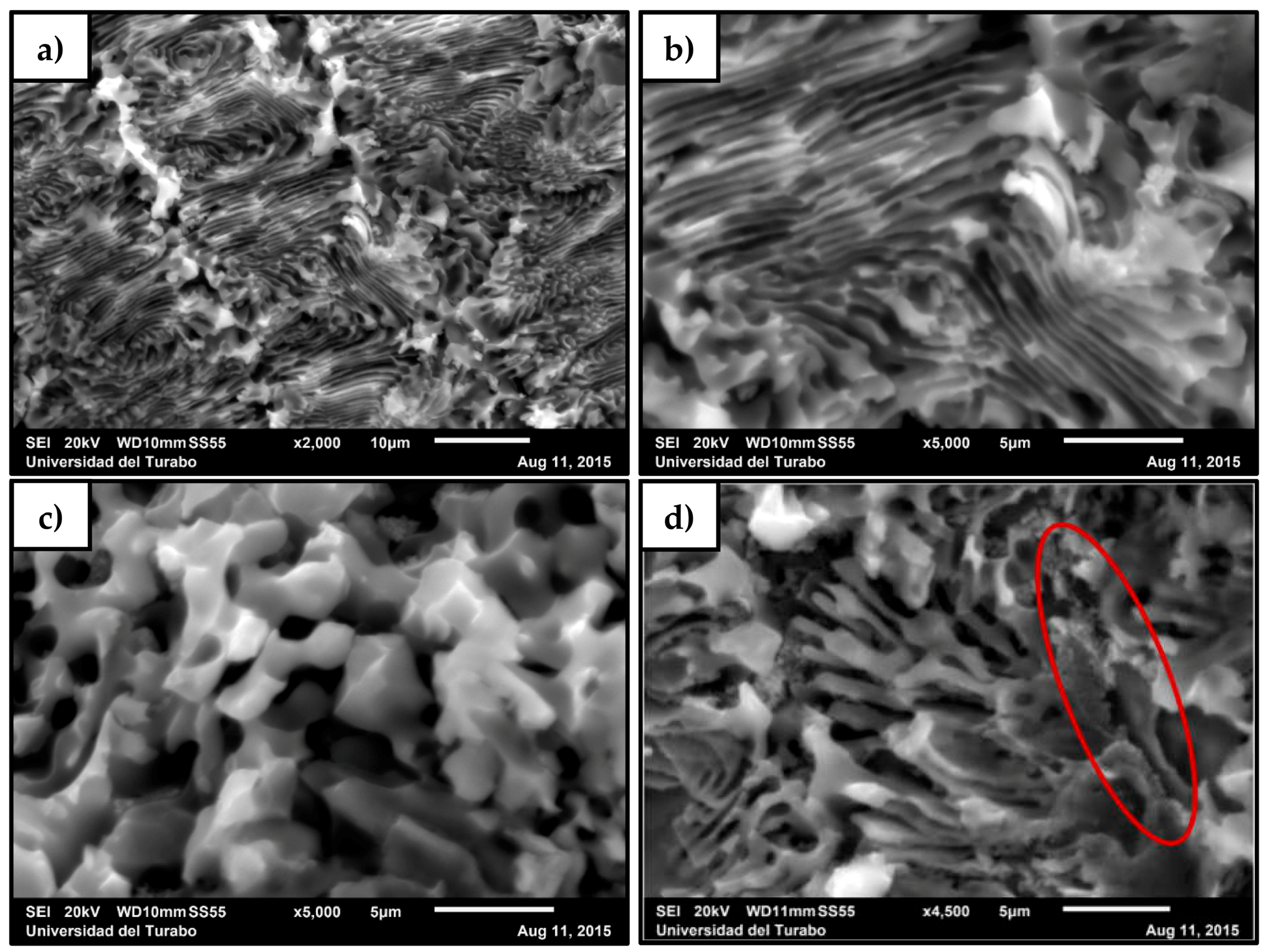 Metals 08 00378 g006