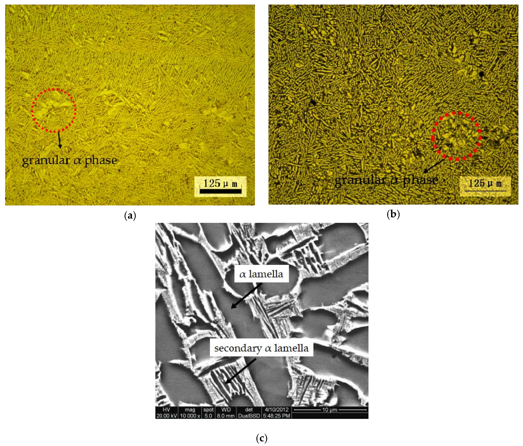 Metals 08 00401 g001