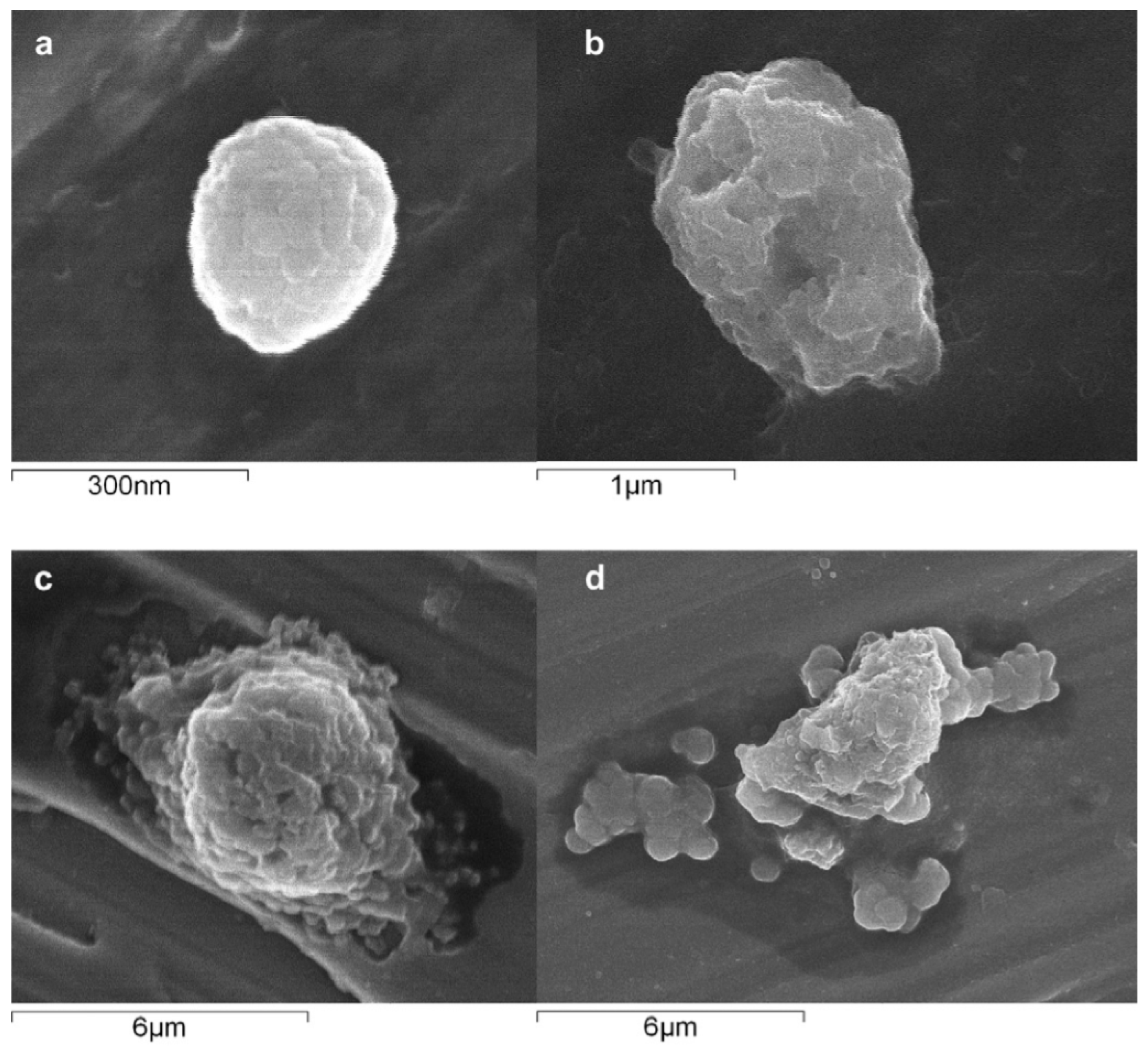 Metals 08 00420 g009a 550