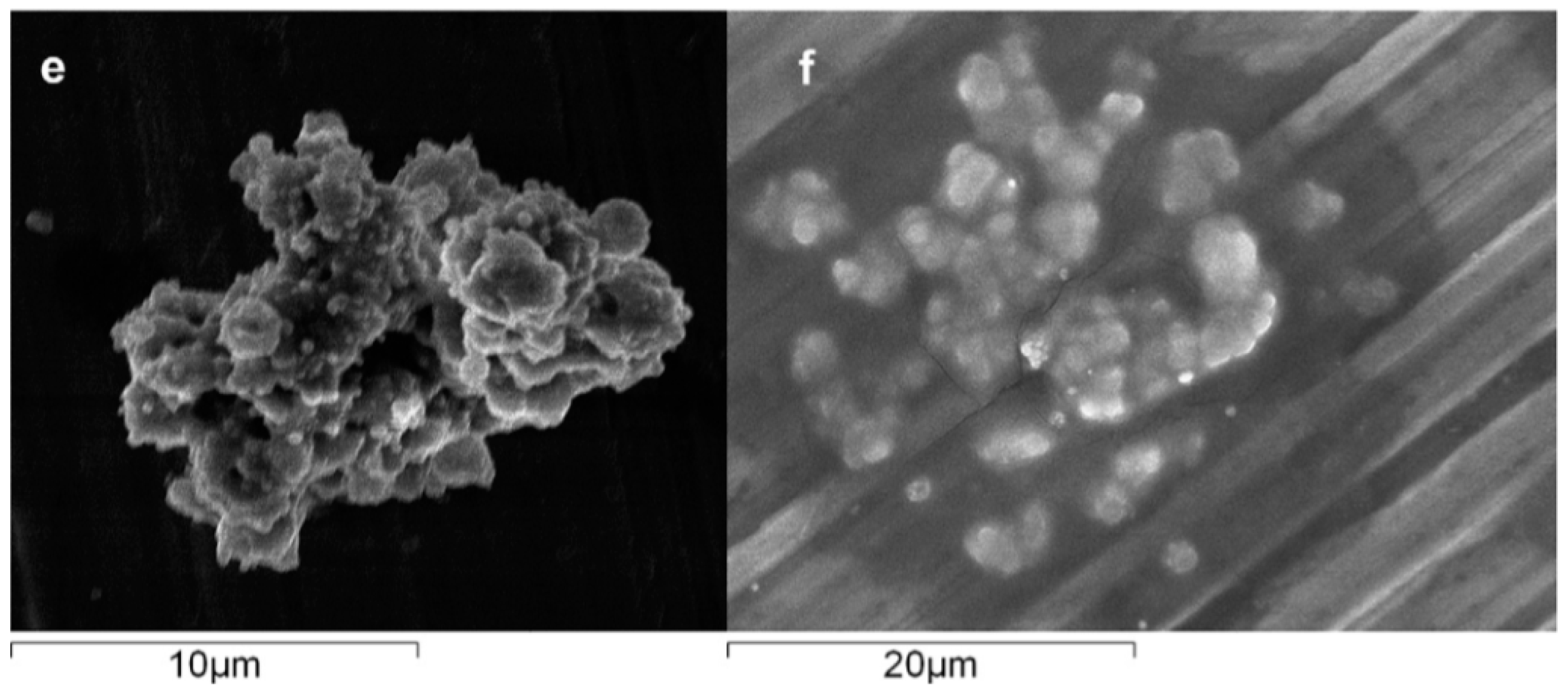 Metals 08 00420 g009b 550