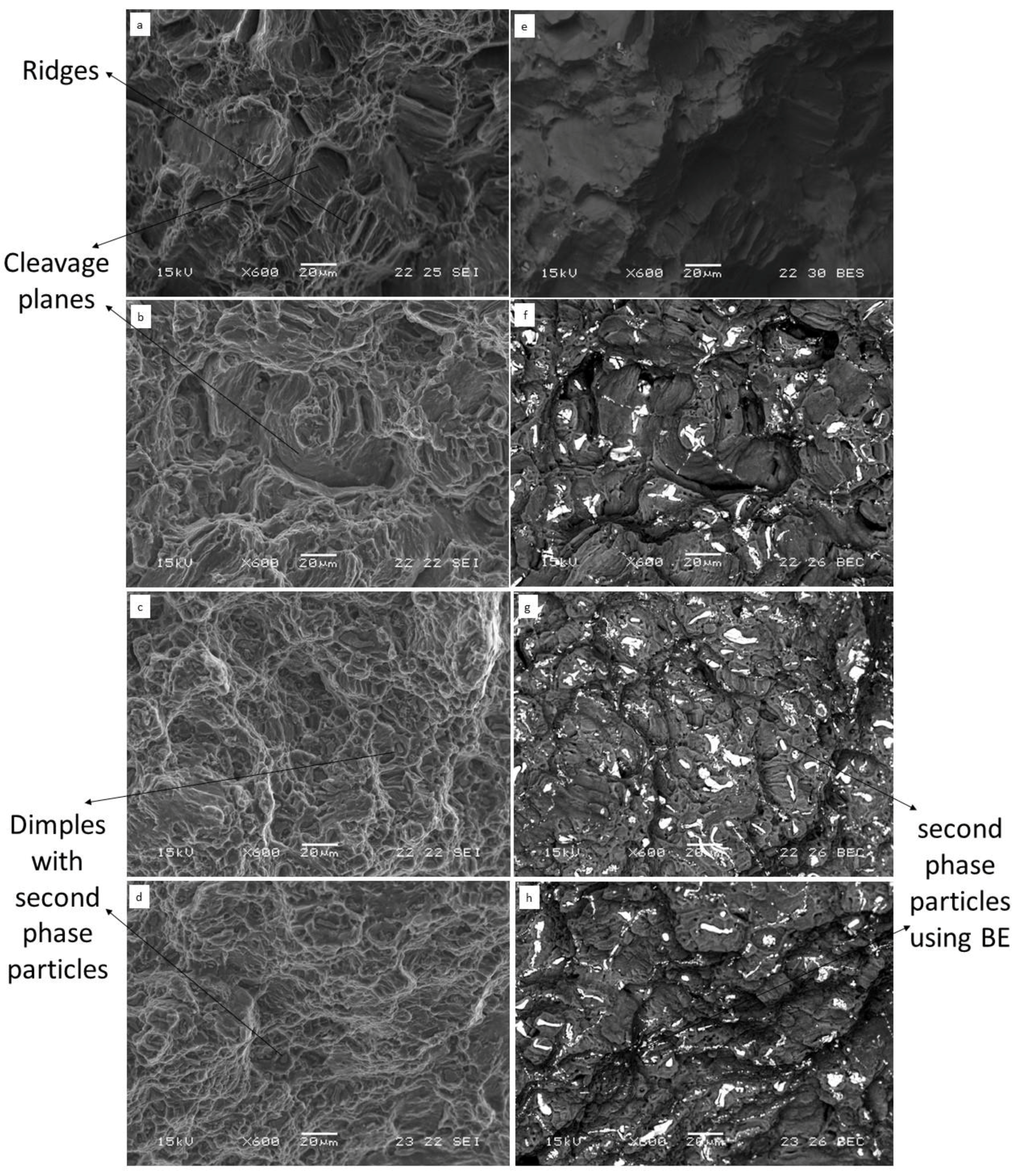 Metals 08 00438 g007