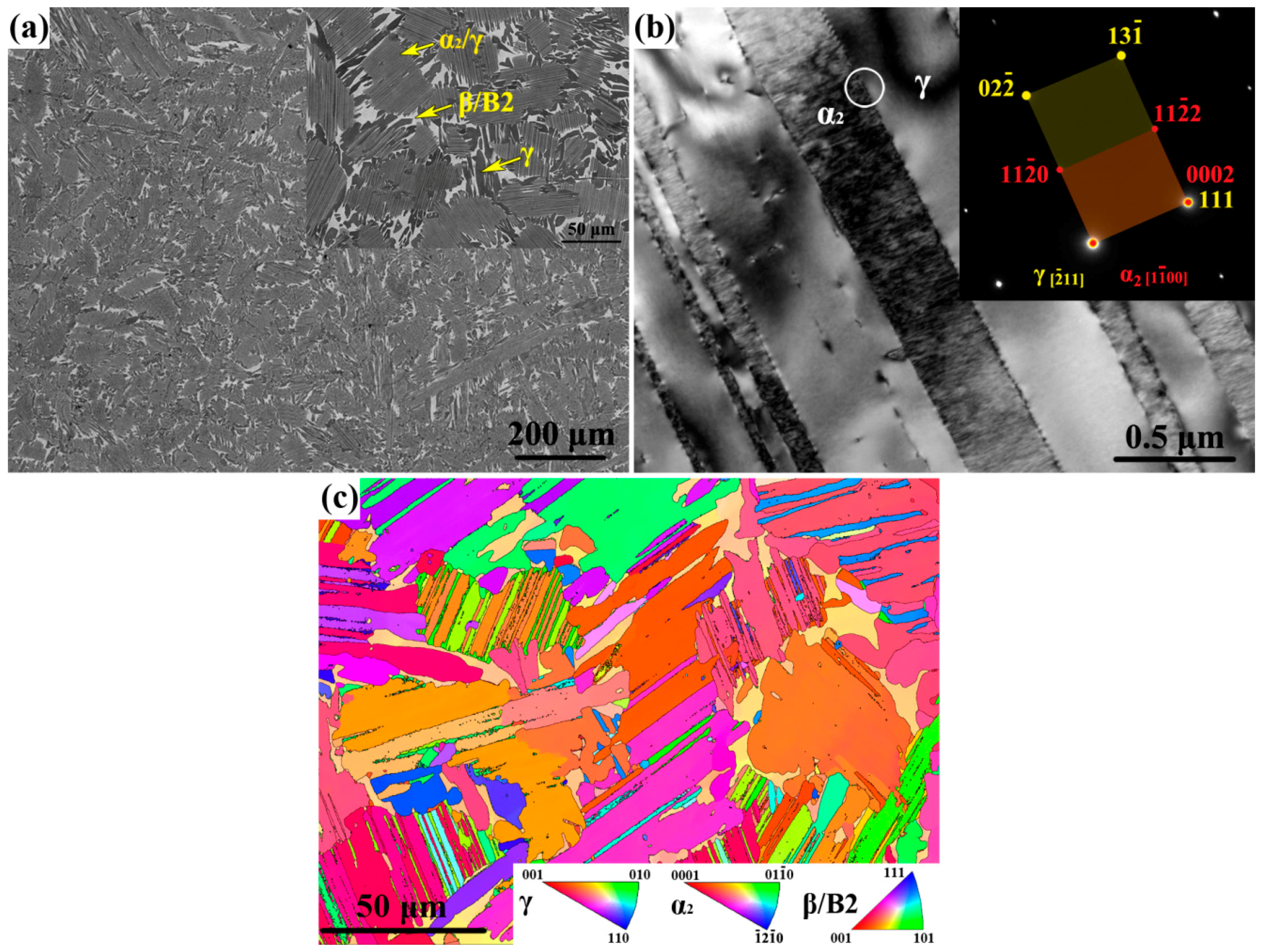 Metals 08 00445 g002 Metals 08 00445 g002