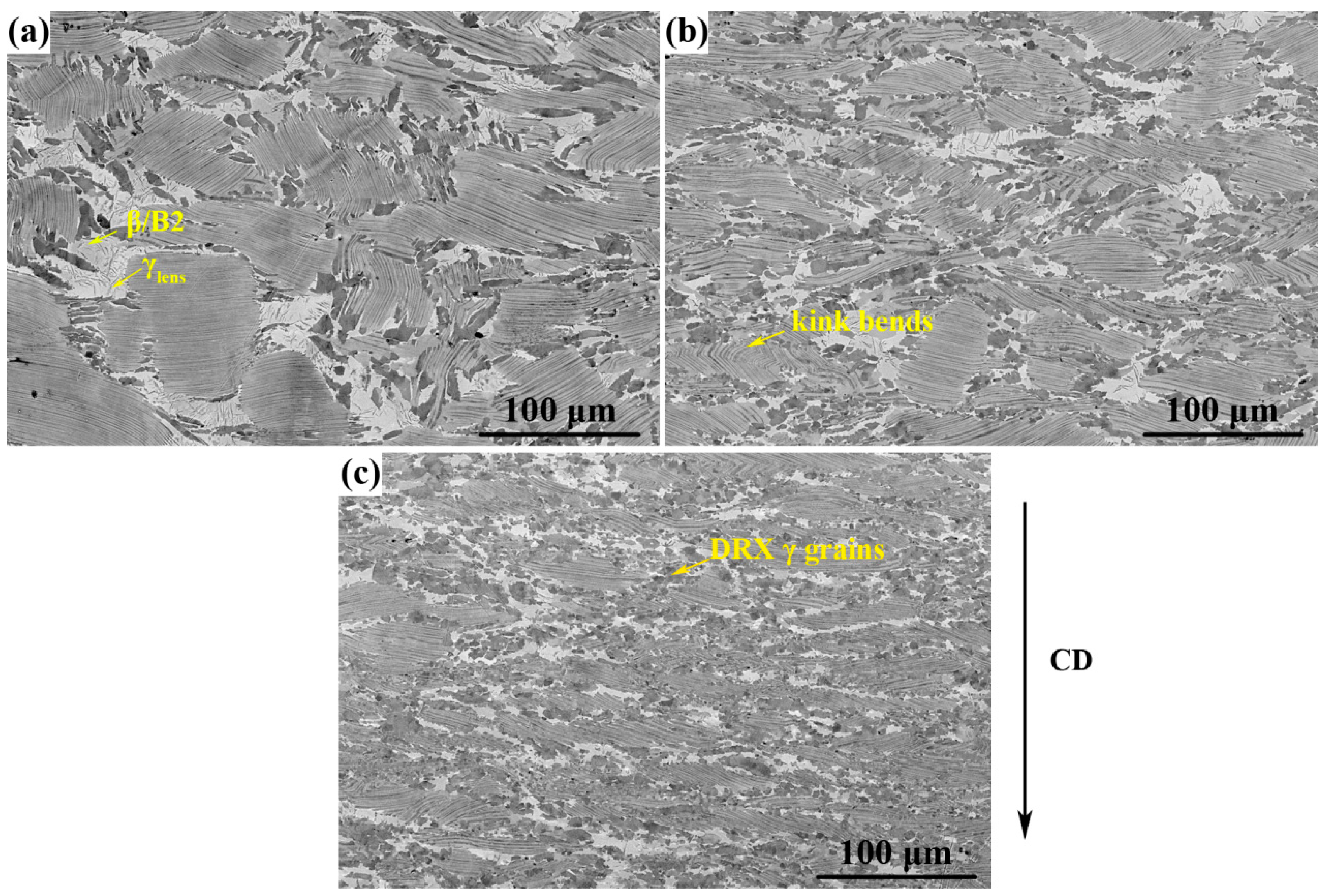 Metals 08 00445 g004 Metals 08 00445 g004