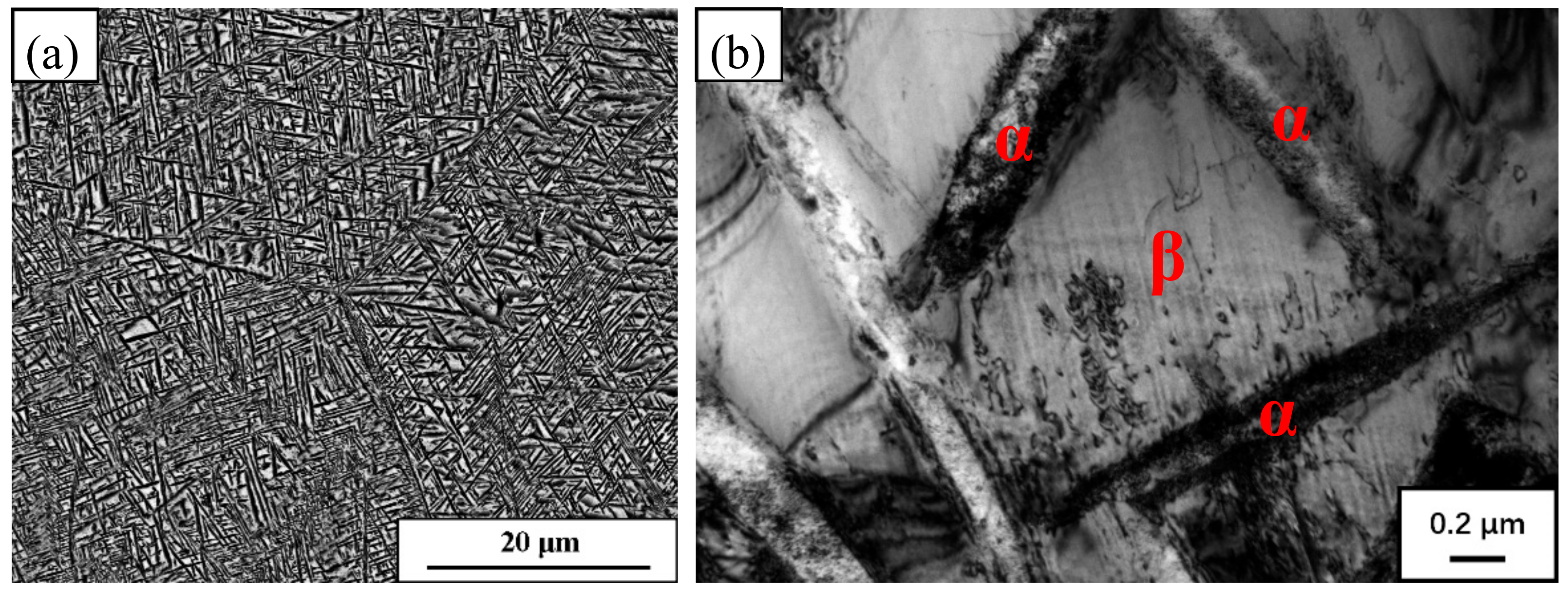 Metals 08 00467 g006 550