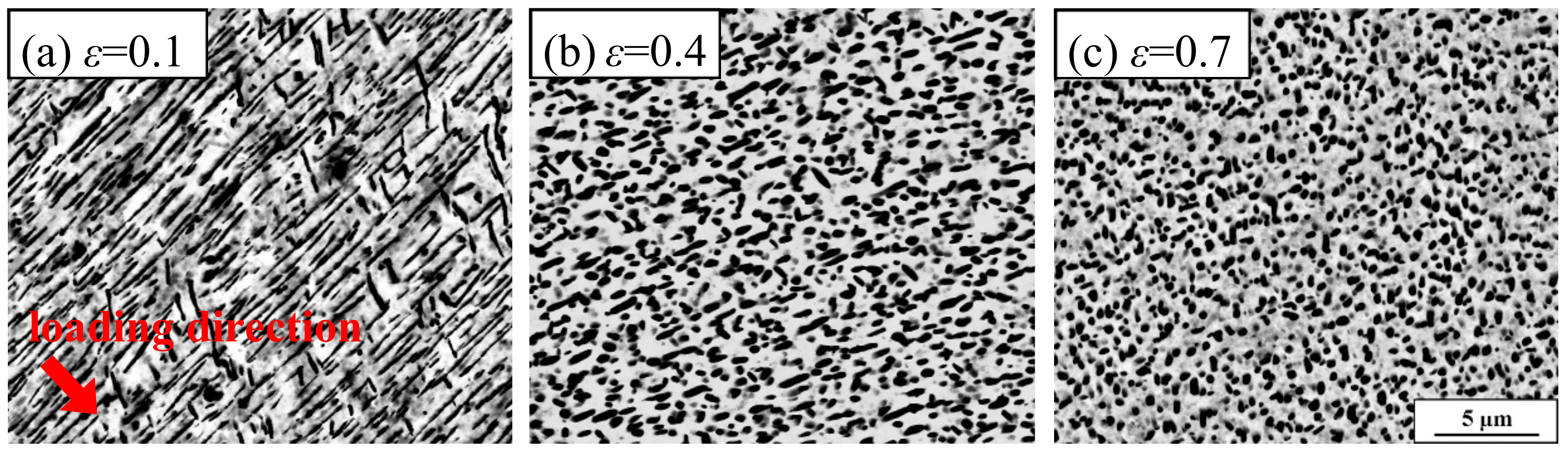 Metals 08 00467 g007 550