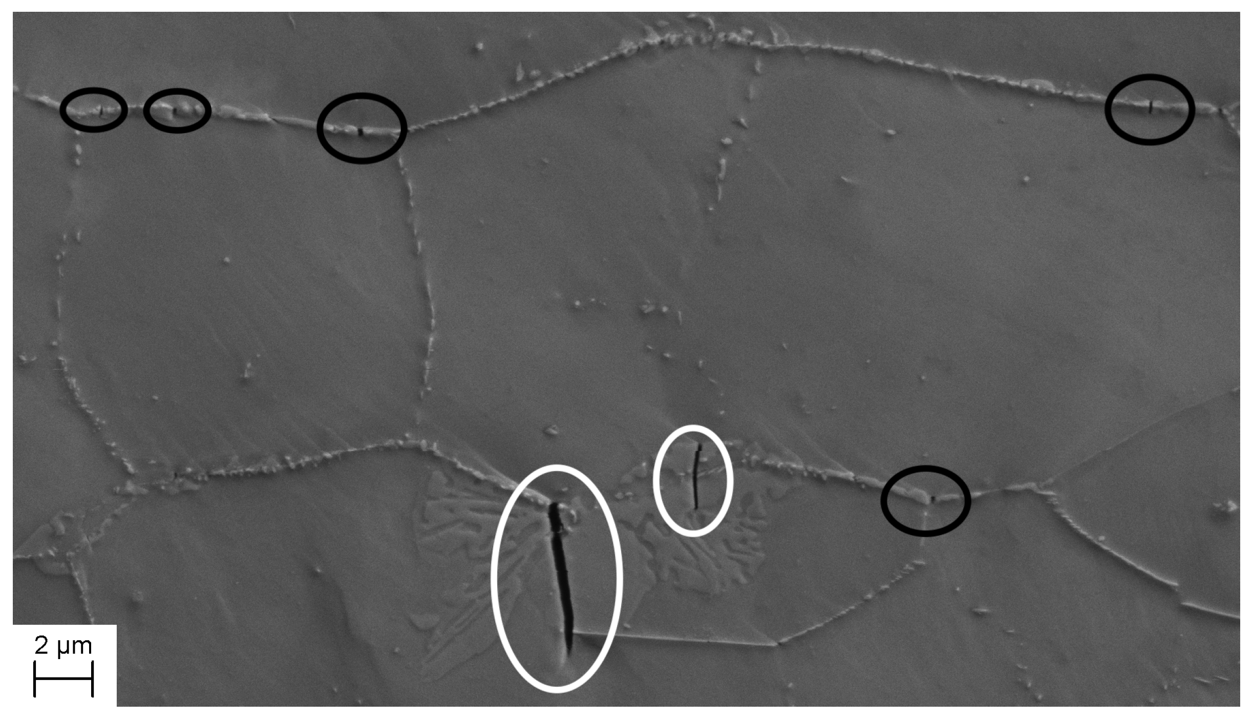 Metals 08 00478 g005