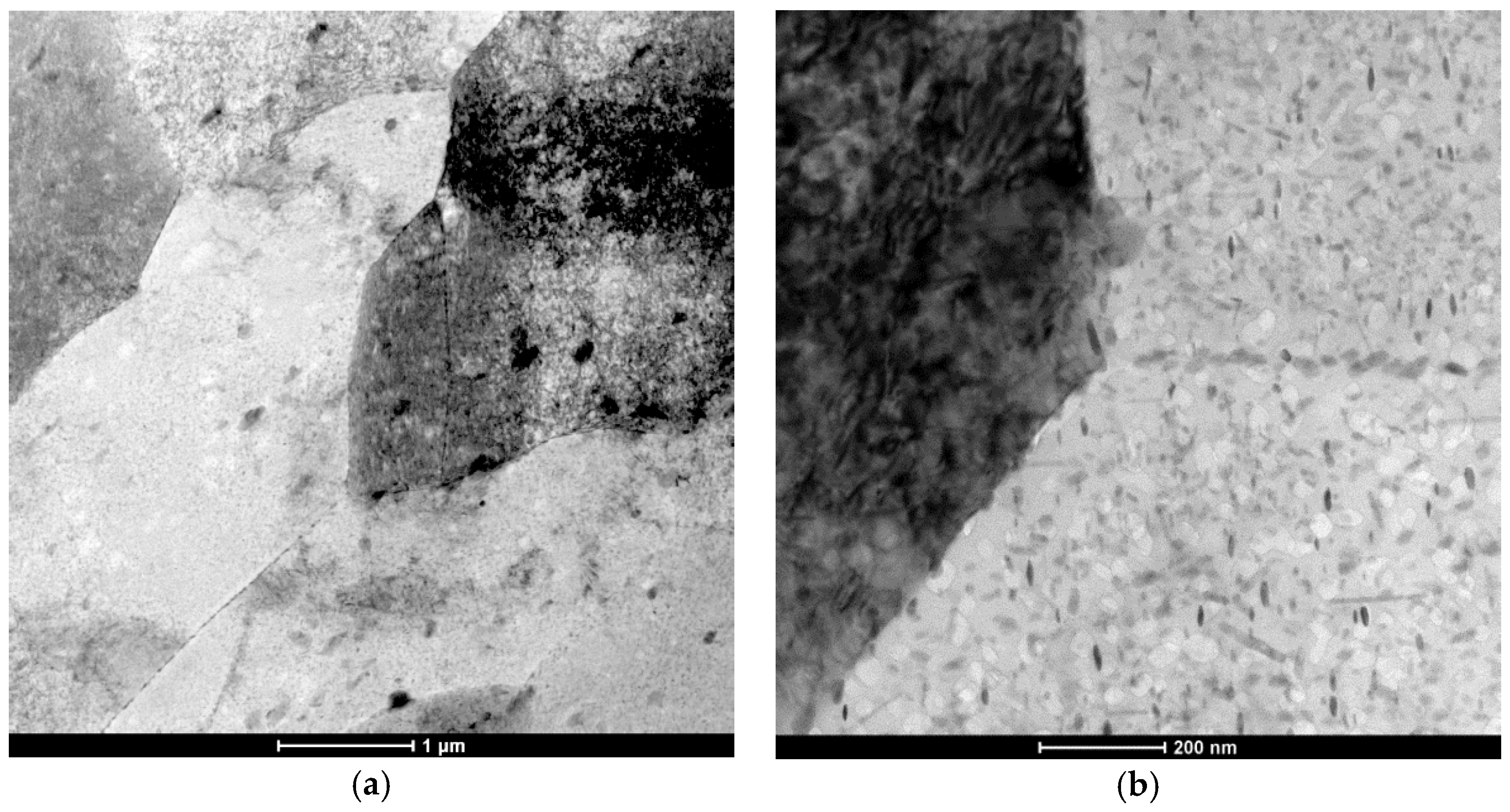 Metals 08 00487 g004 550