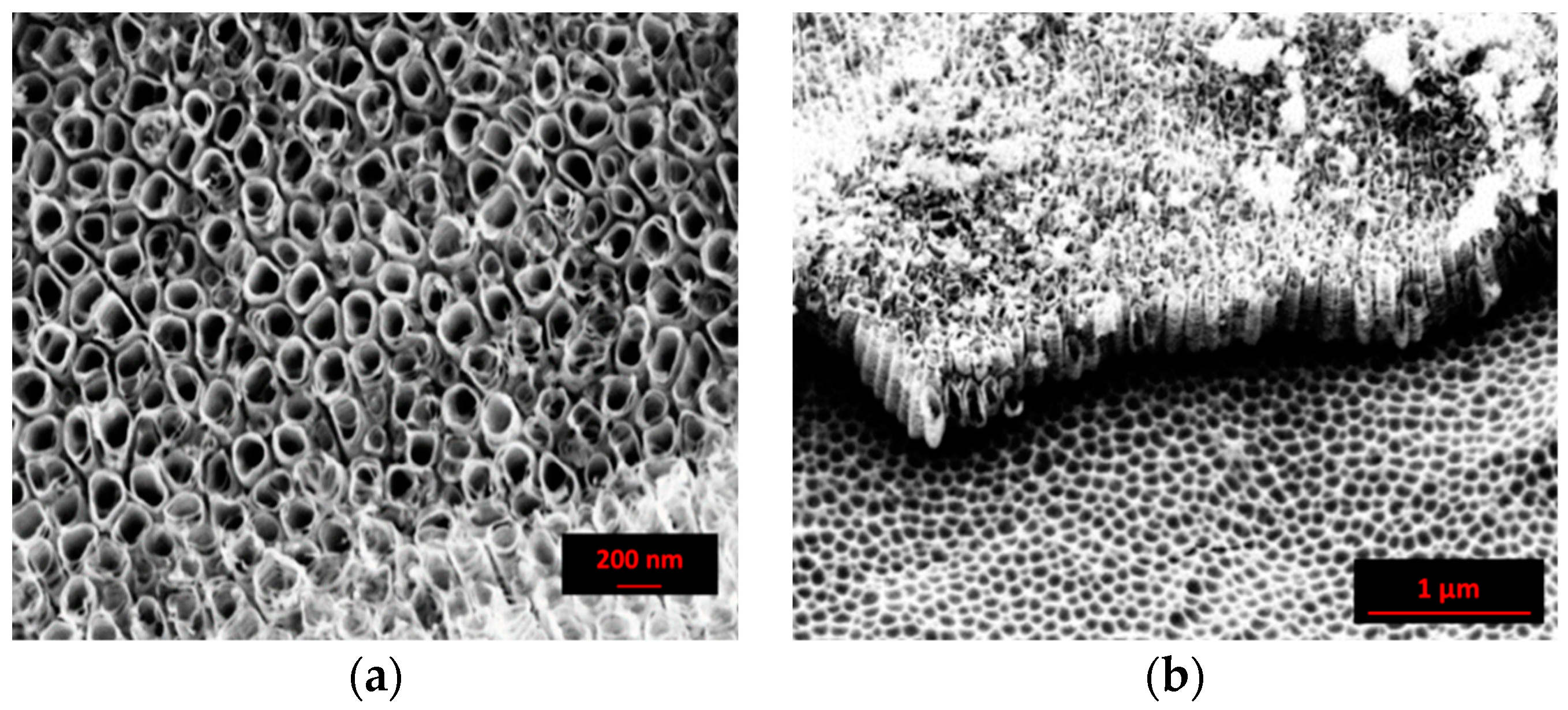 Metals 08 00489 g002