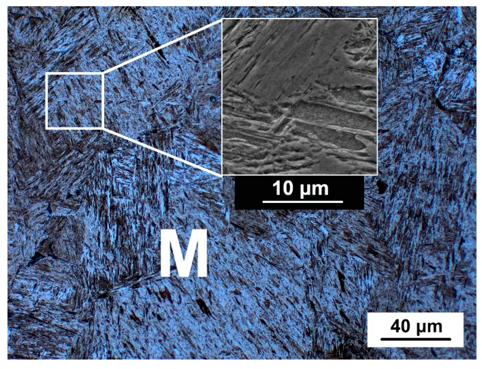 Metals 08 00518 g003