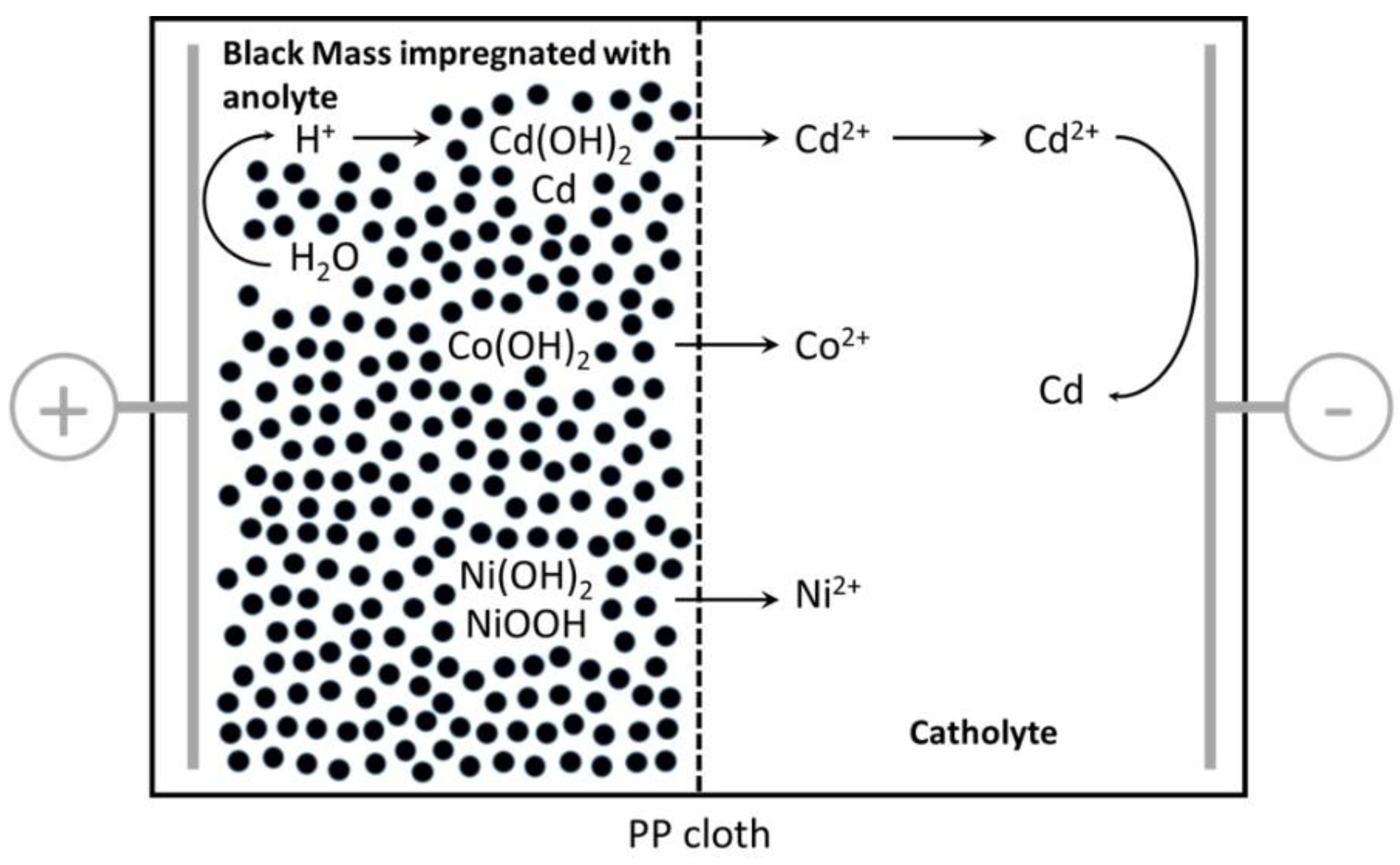 Metals 08 00556 g004