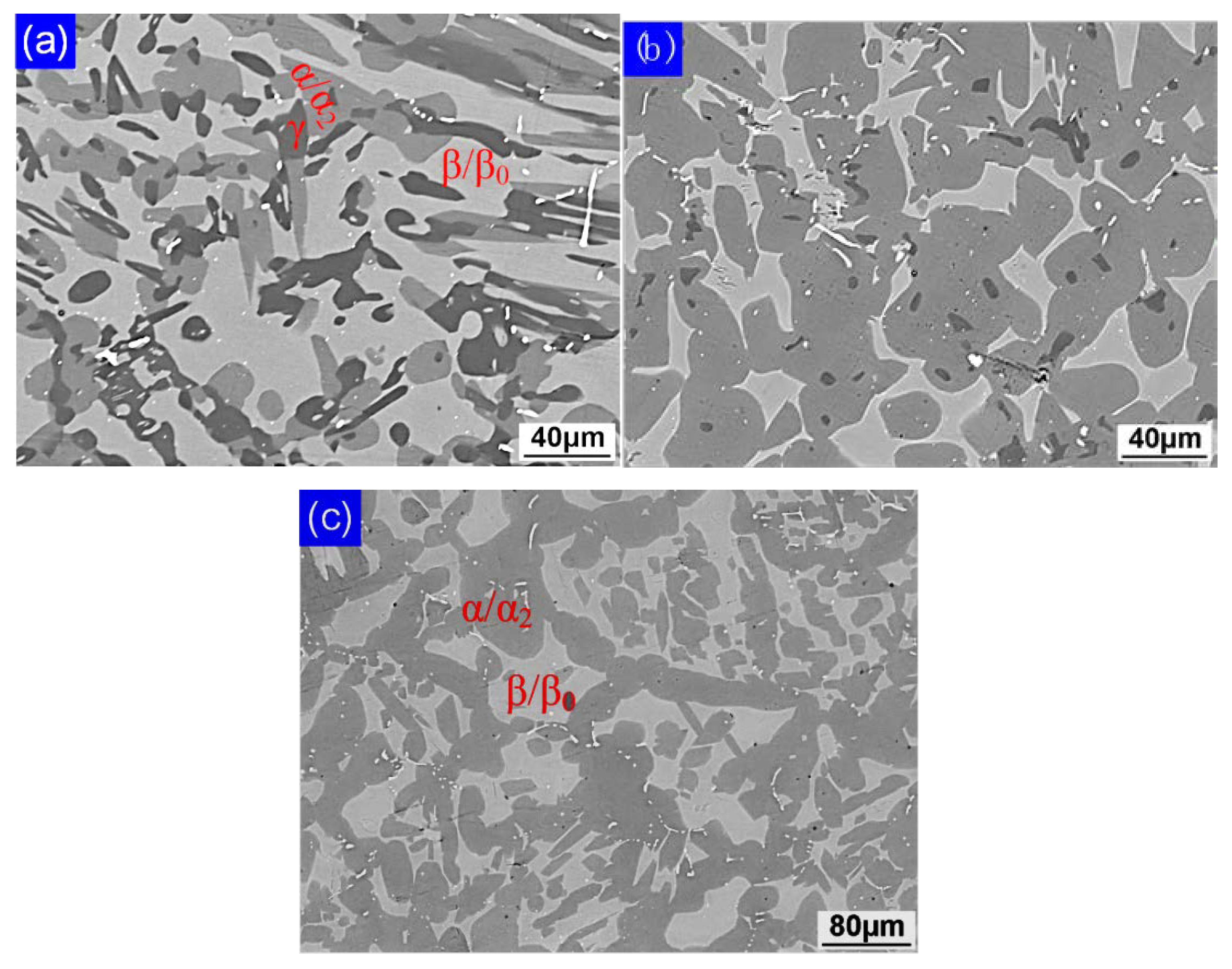 Metals 08 00566 g005