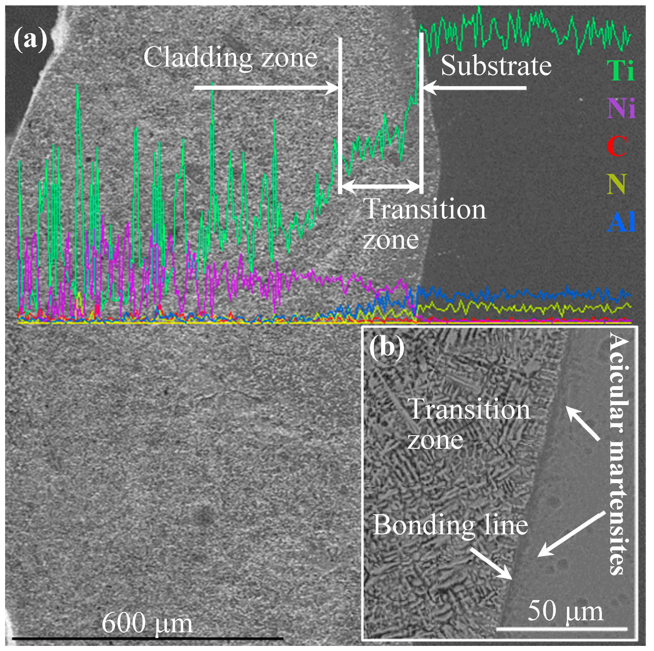 Metals 08 00601 g004 550