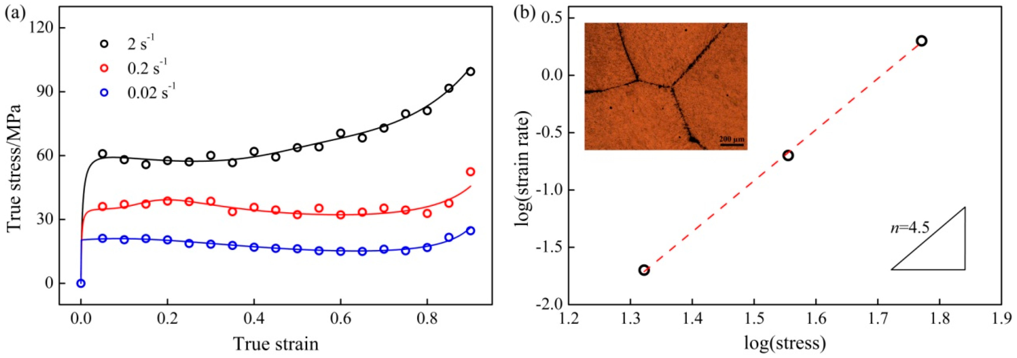 Metals 08 00605 g001