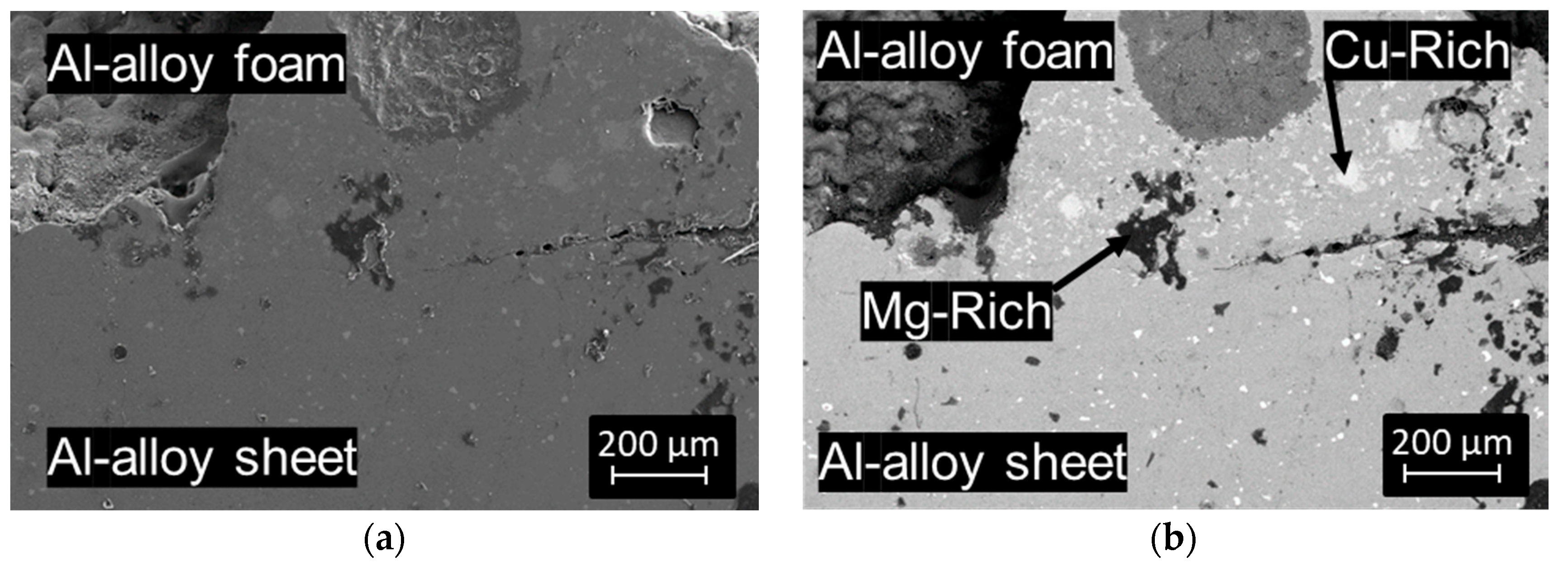 Metals 08 00614 g005