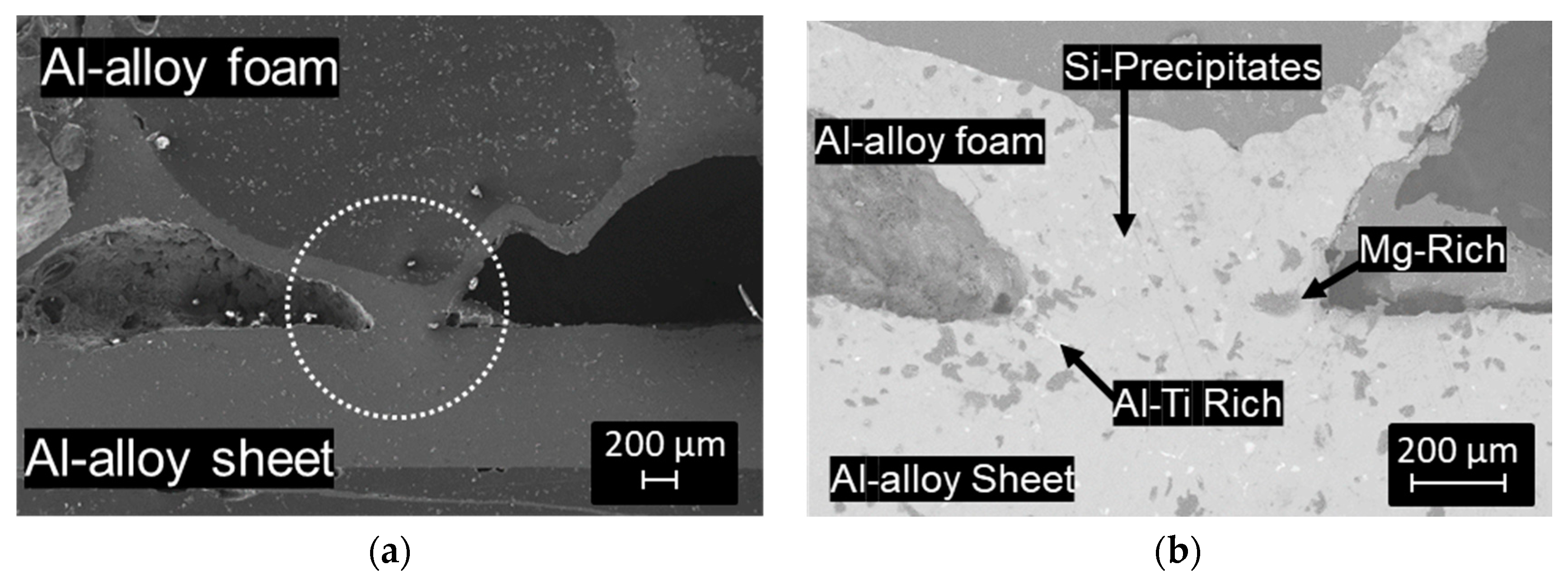 Metals 08 00614 g007