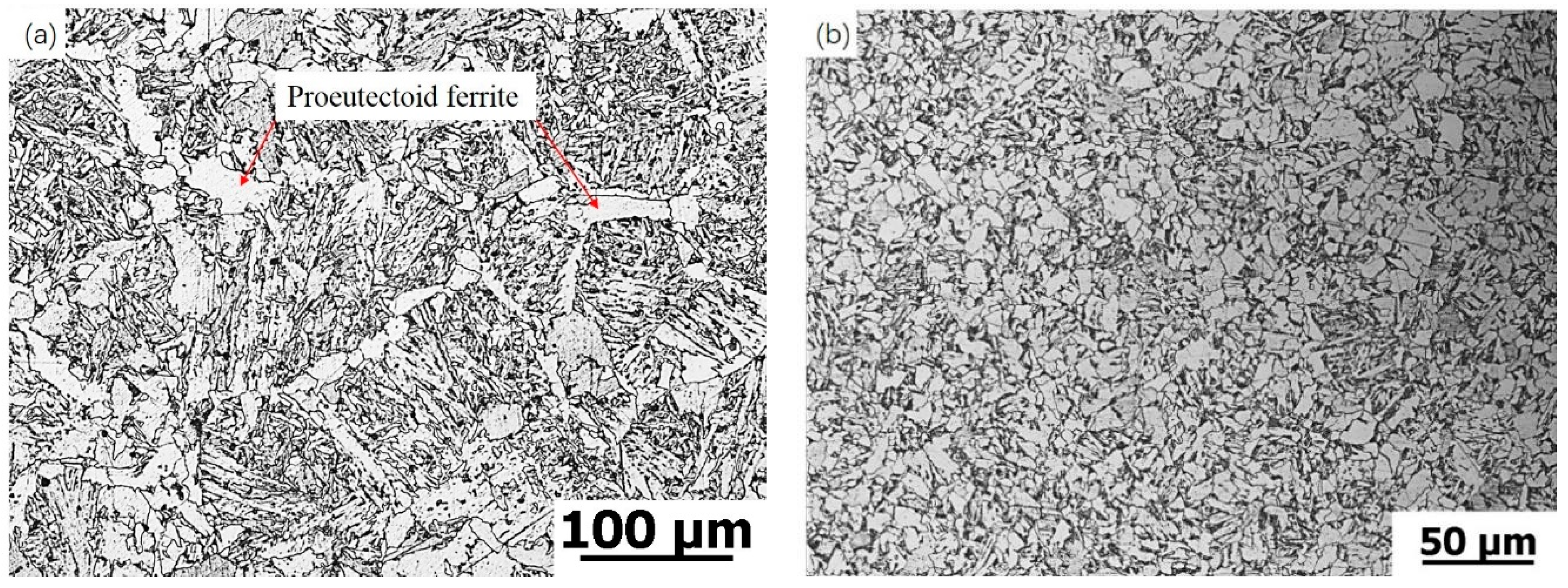 Ferrite Microstructure