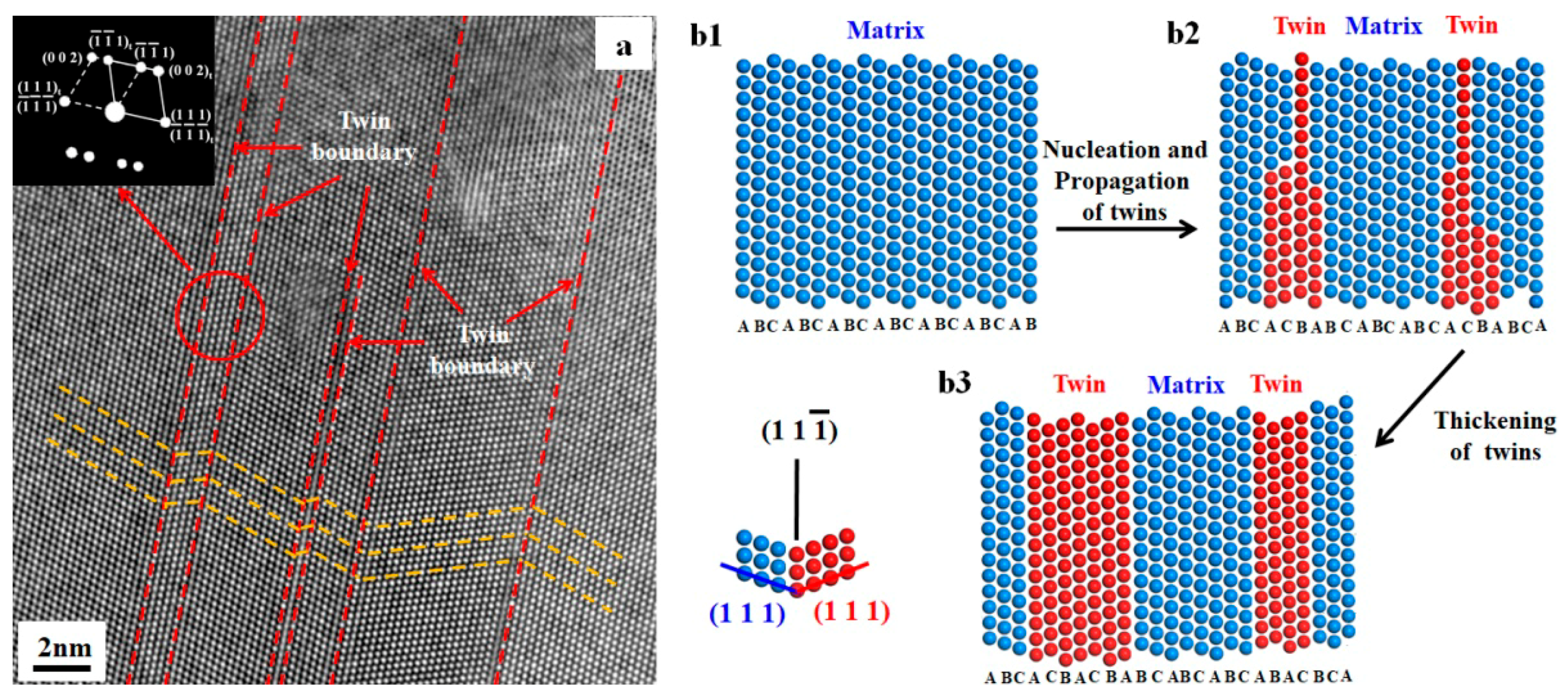 Metals 08 00619 g005 Metals 08 00619 g005