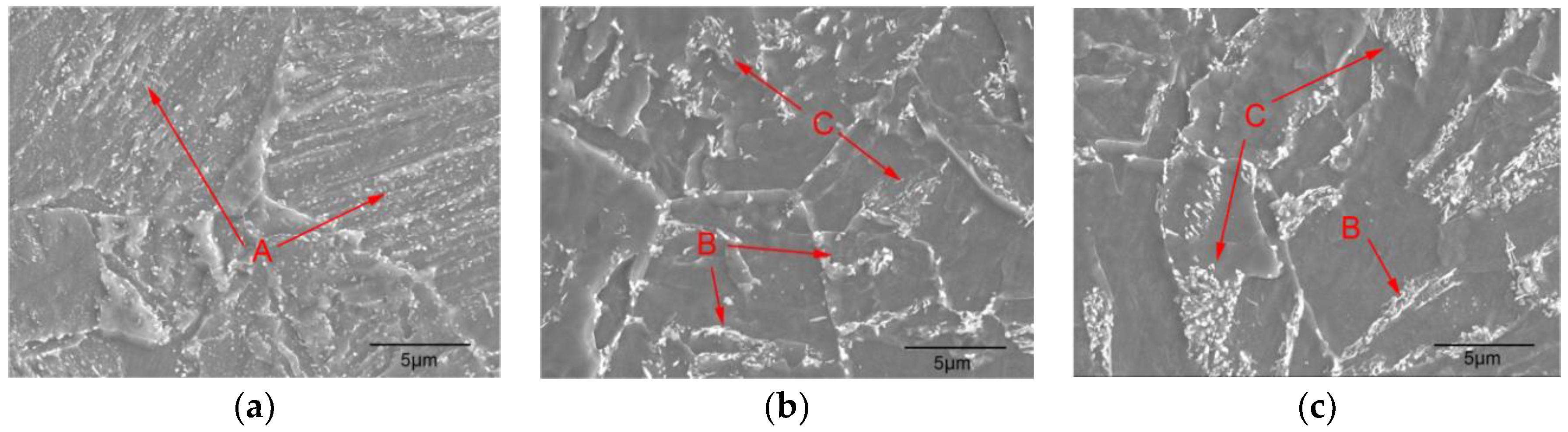 Metals 08 00628 g002