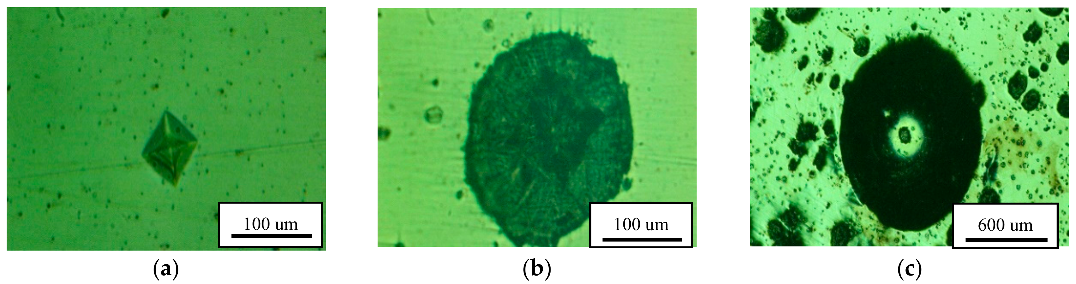 Metals 08 00641 g002