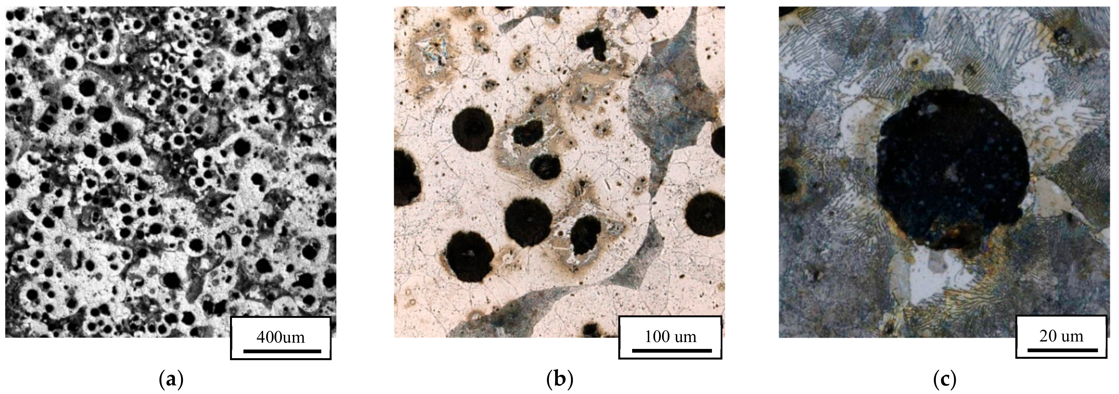 Metals 08 00641 g006