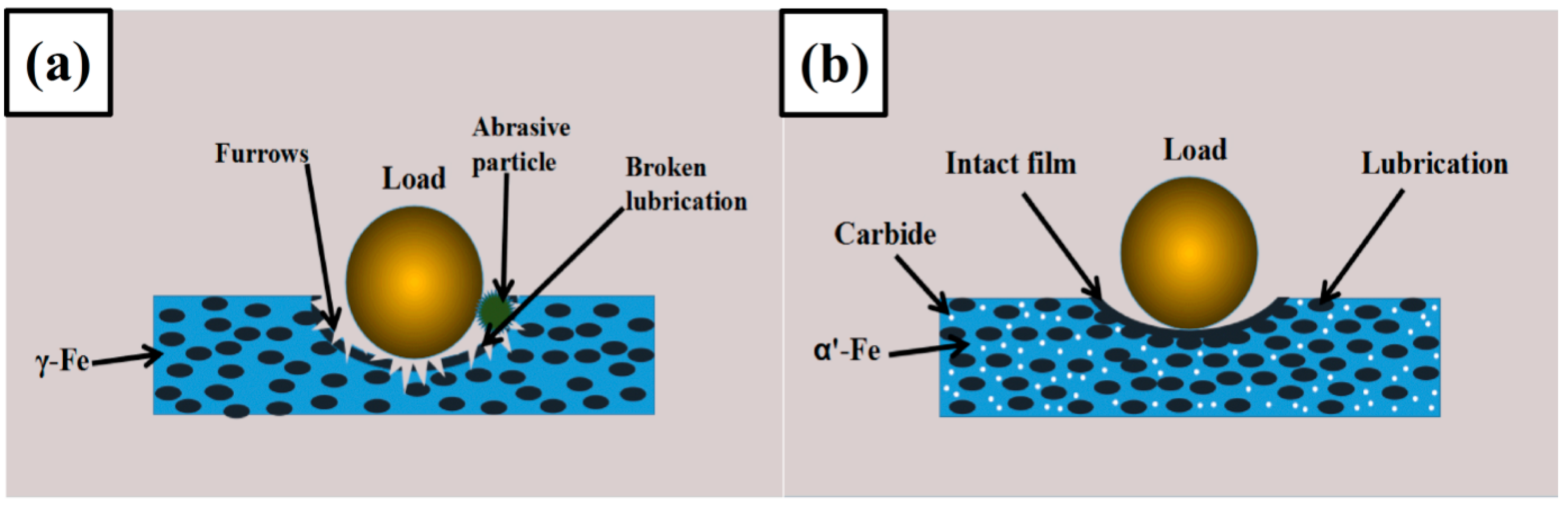 Metals 08 00656 g007