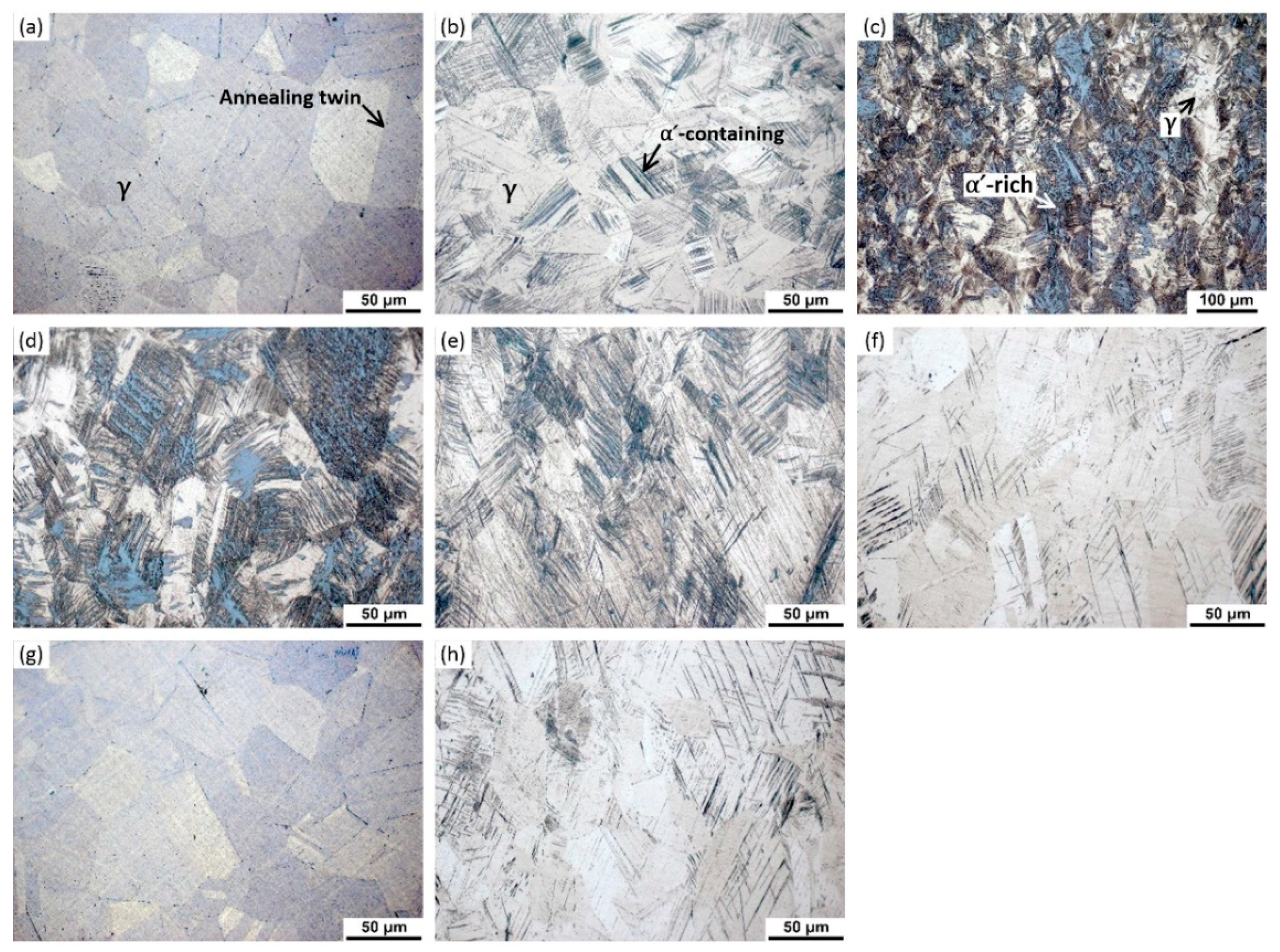 Metals 08 00660 g003