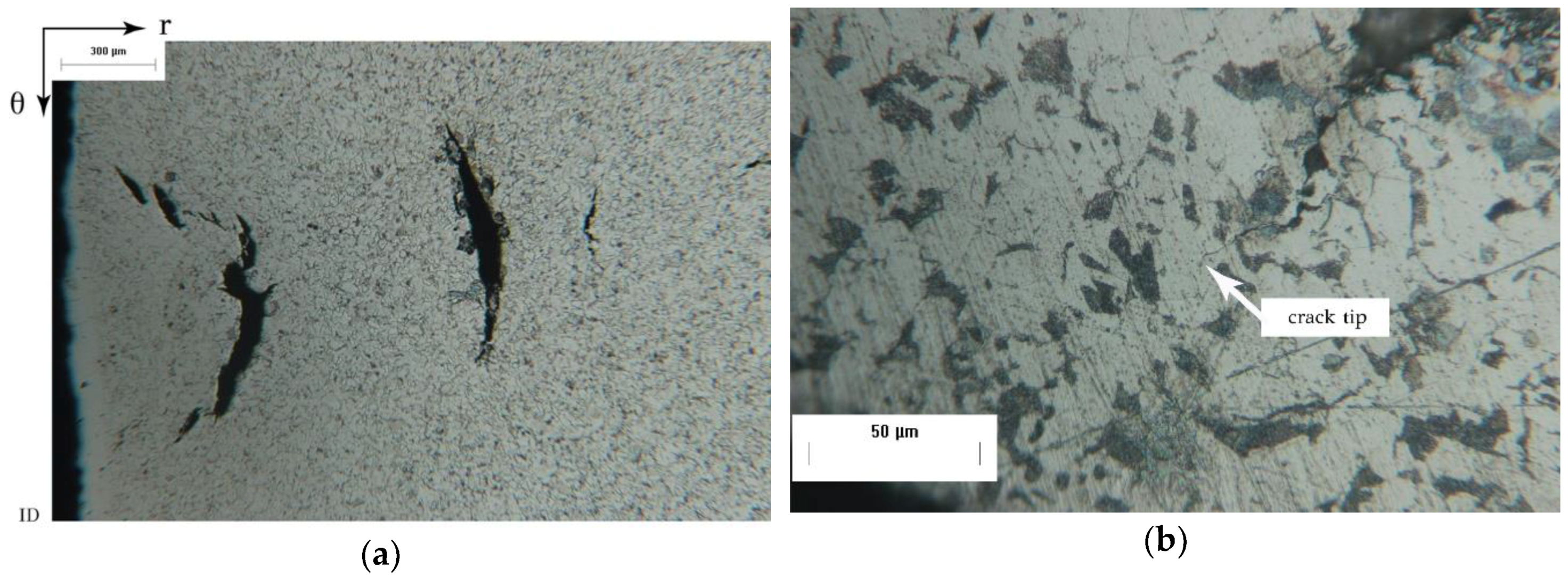 Metals 08 00663 g008 550