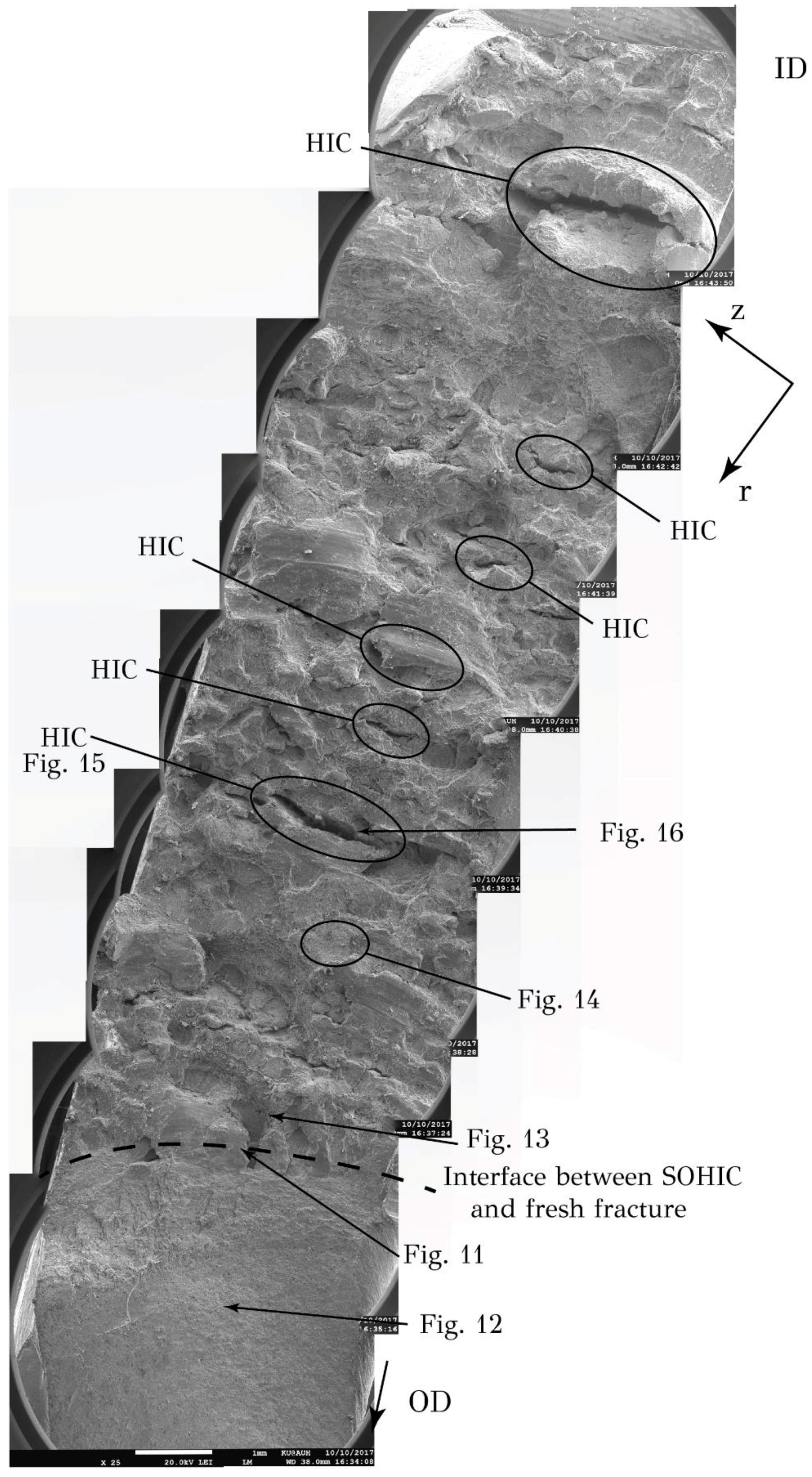 Metals 08 00663 g010 550