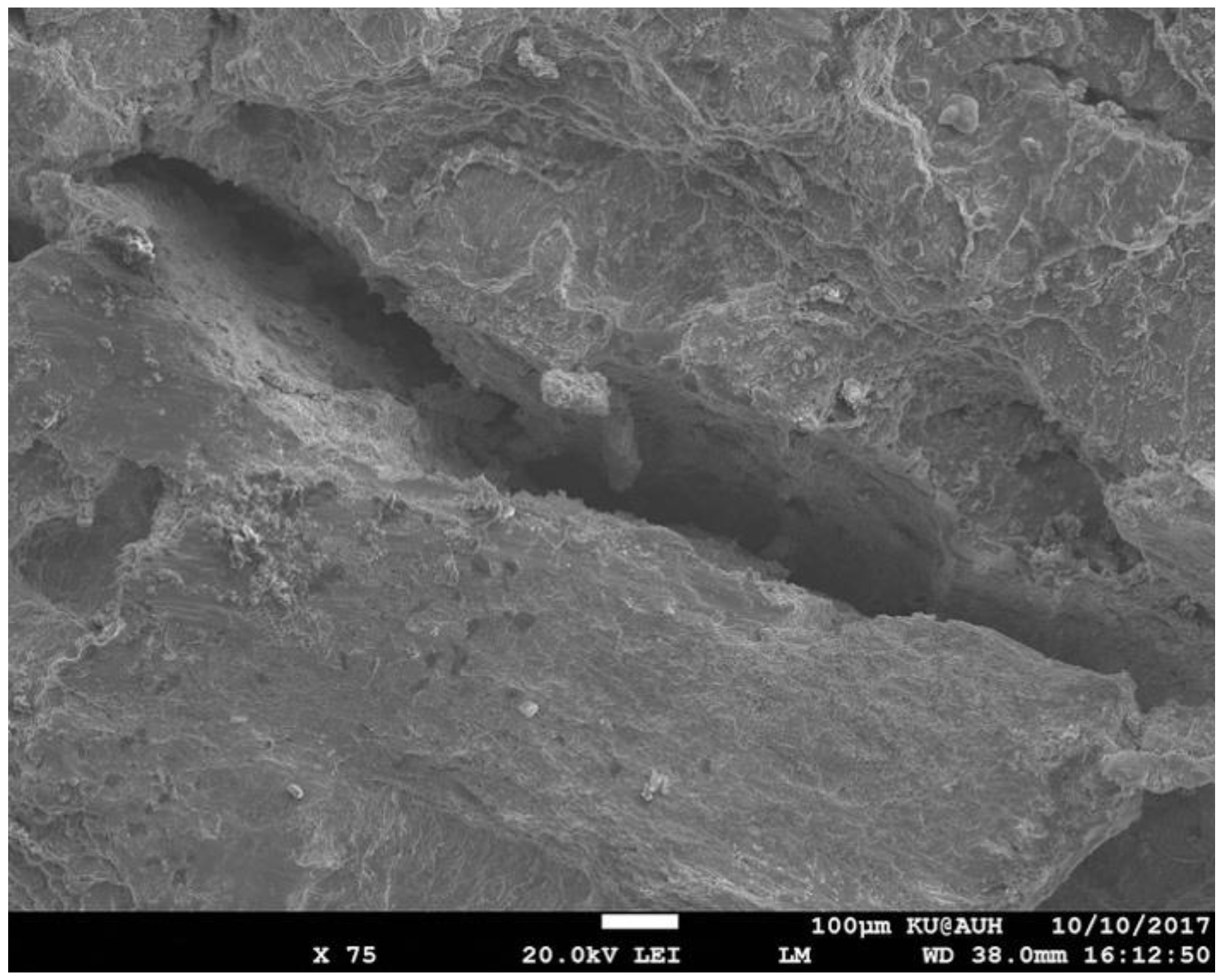 Metals 08 00663 g015 550