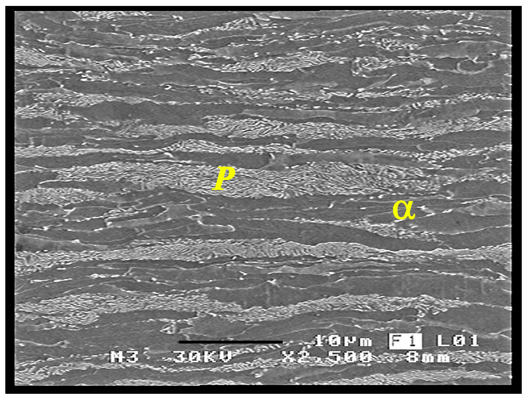 Metals 08 00674 g001 Metals 08 00674 g001