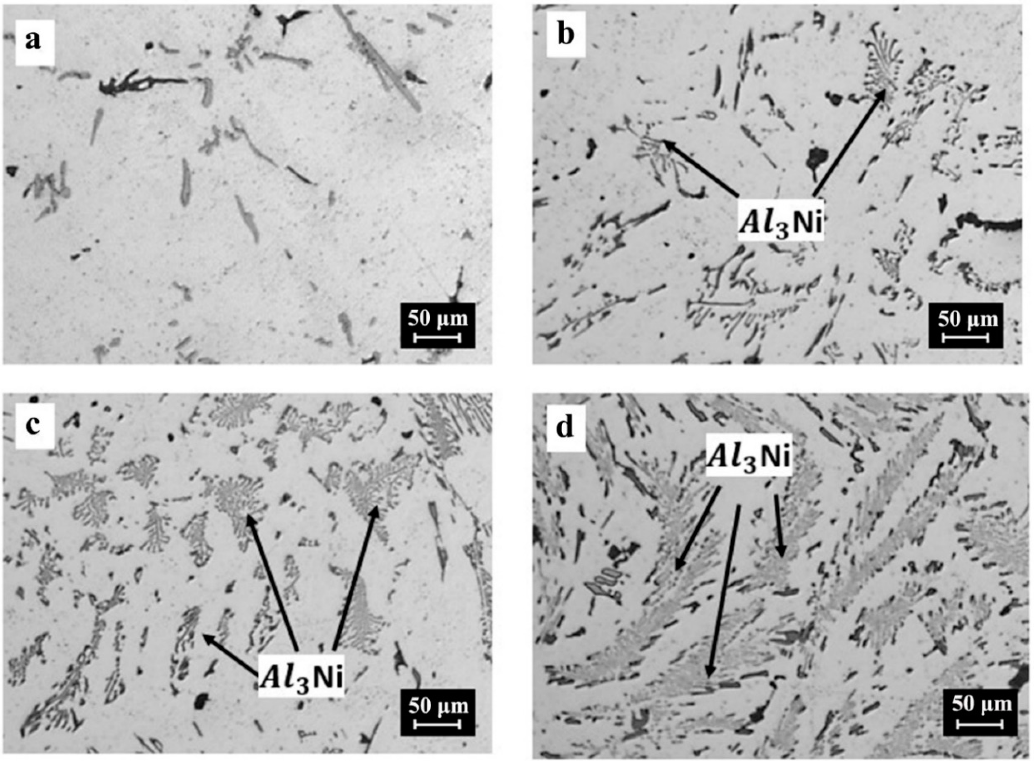 Metals 08 00675 g006
