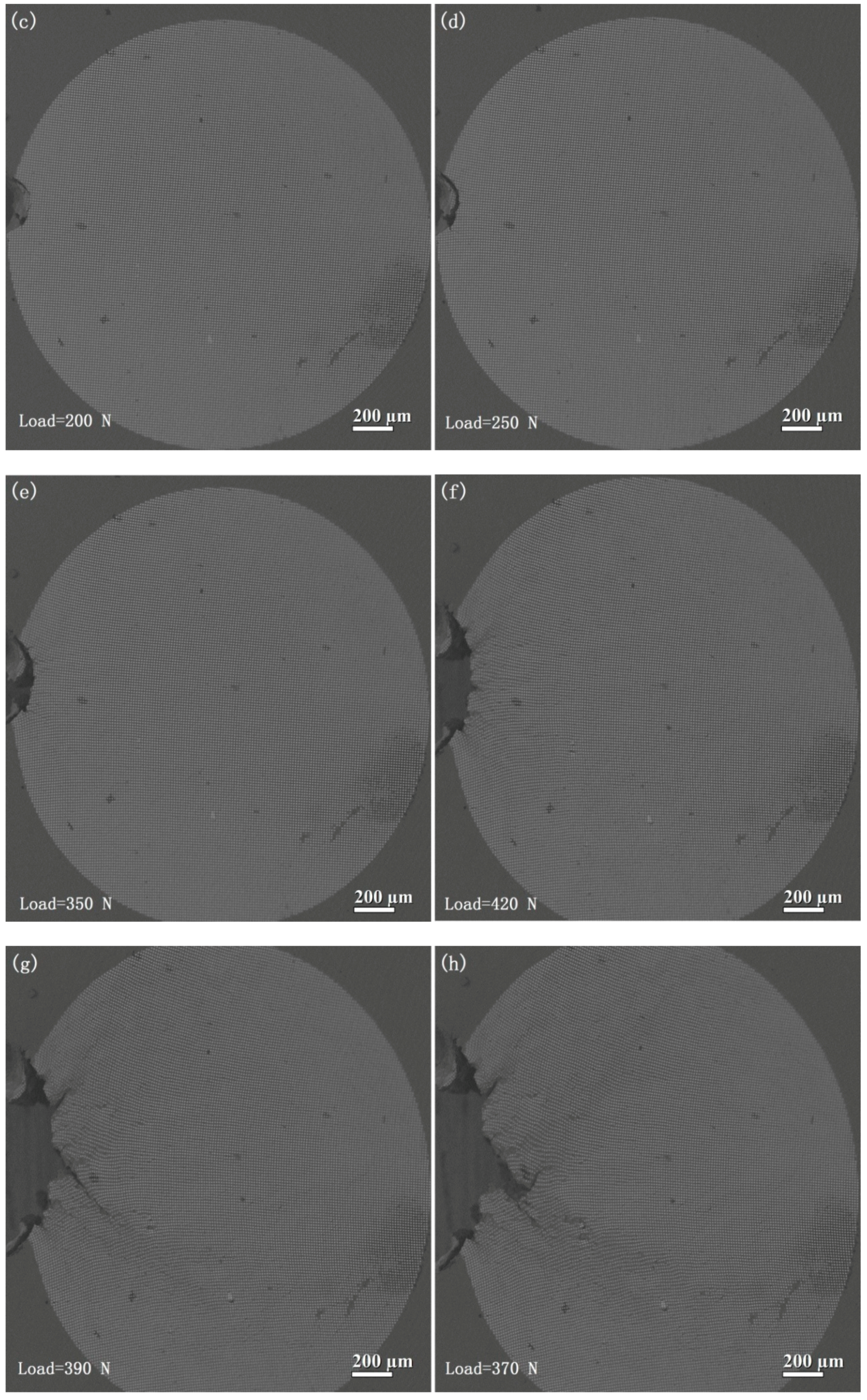 Metals 08 00685 g003b Metals 08 00685 g003b