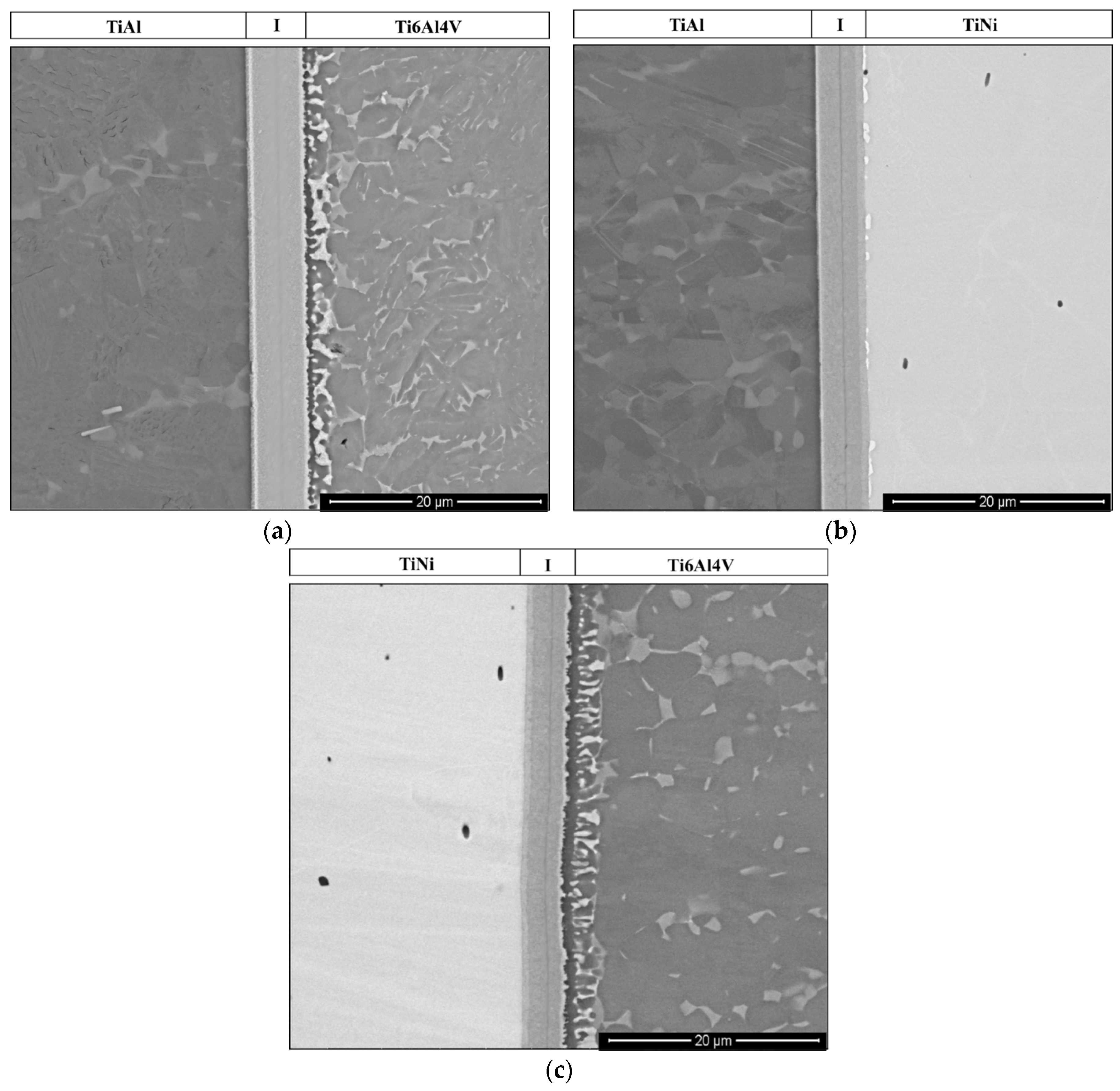 Metals 08 00715 g002 550