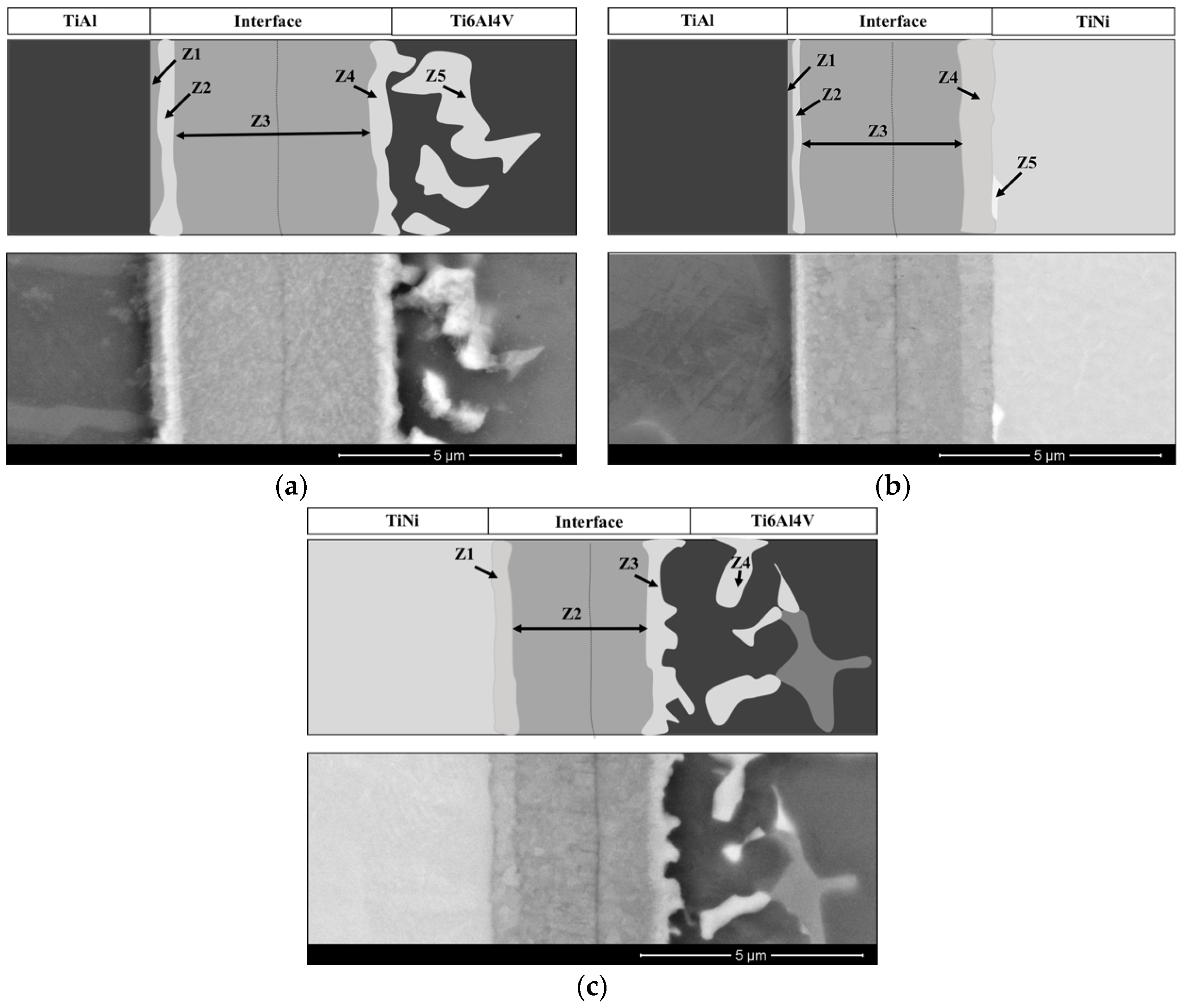 Metals 08 00715 g003 550