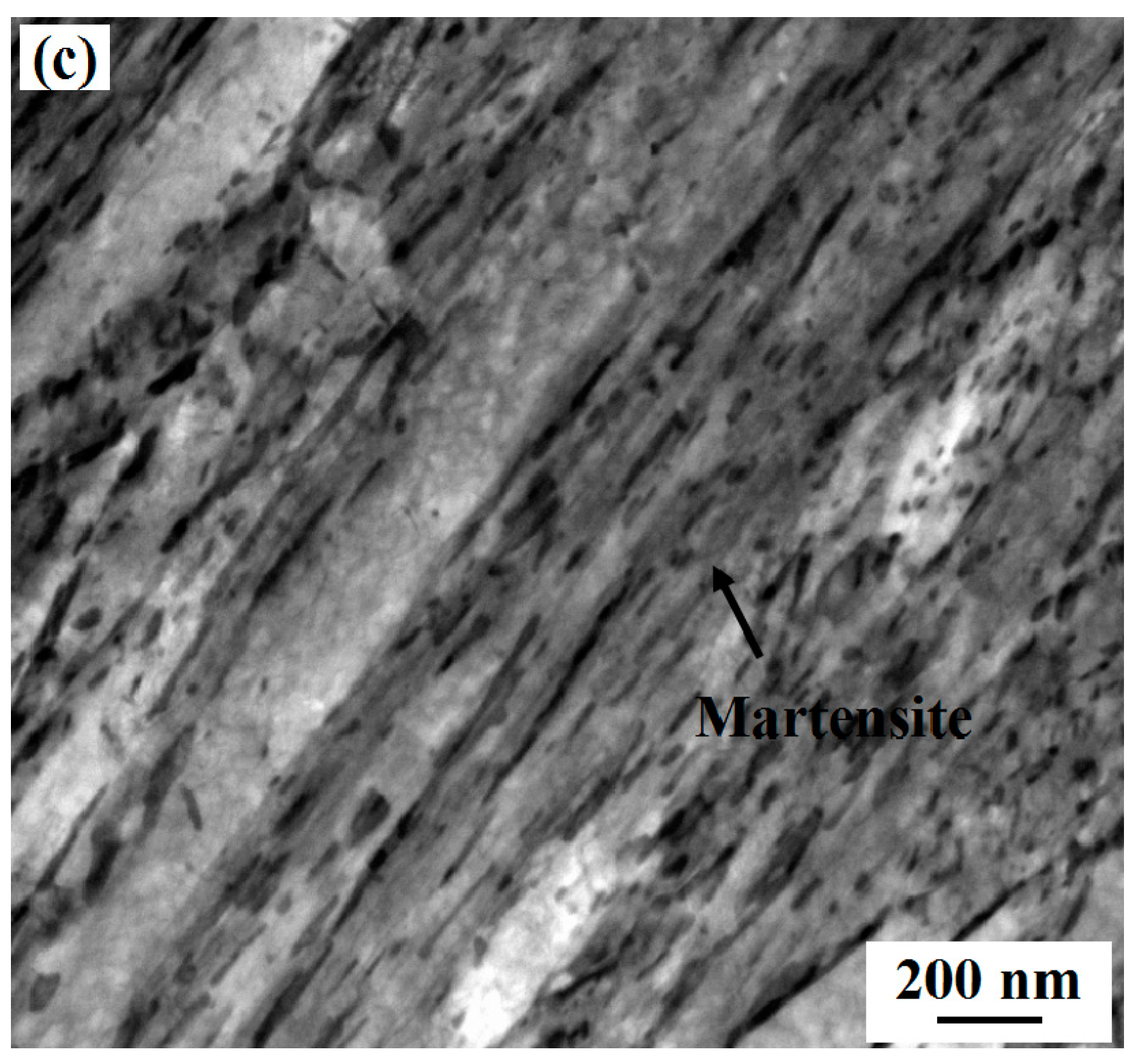 Metals 08 00728 g004b Metals 08 00728 g004b