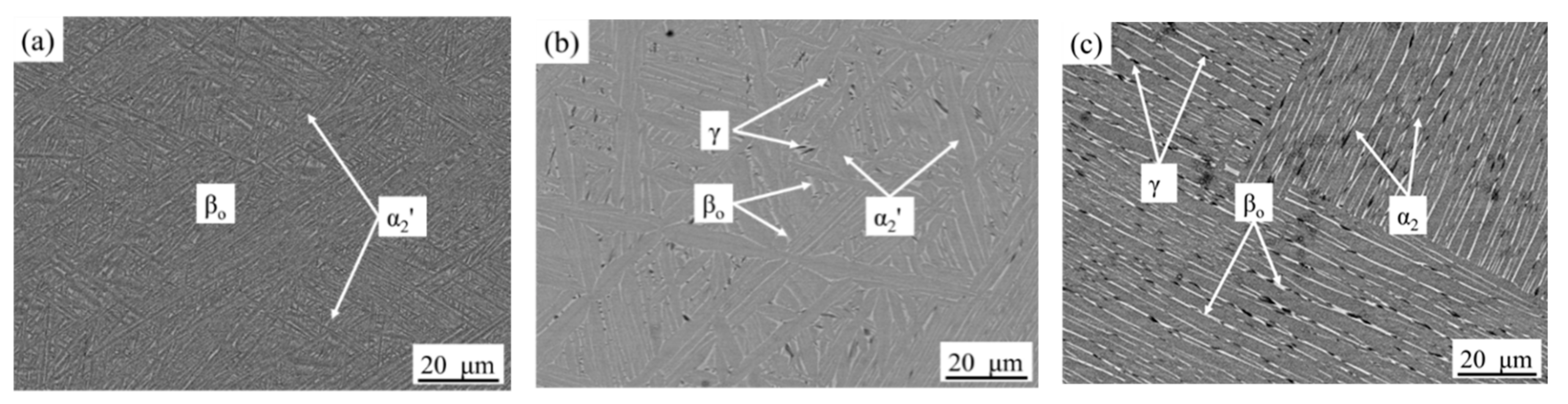 Metals 08 00731 g002