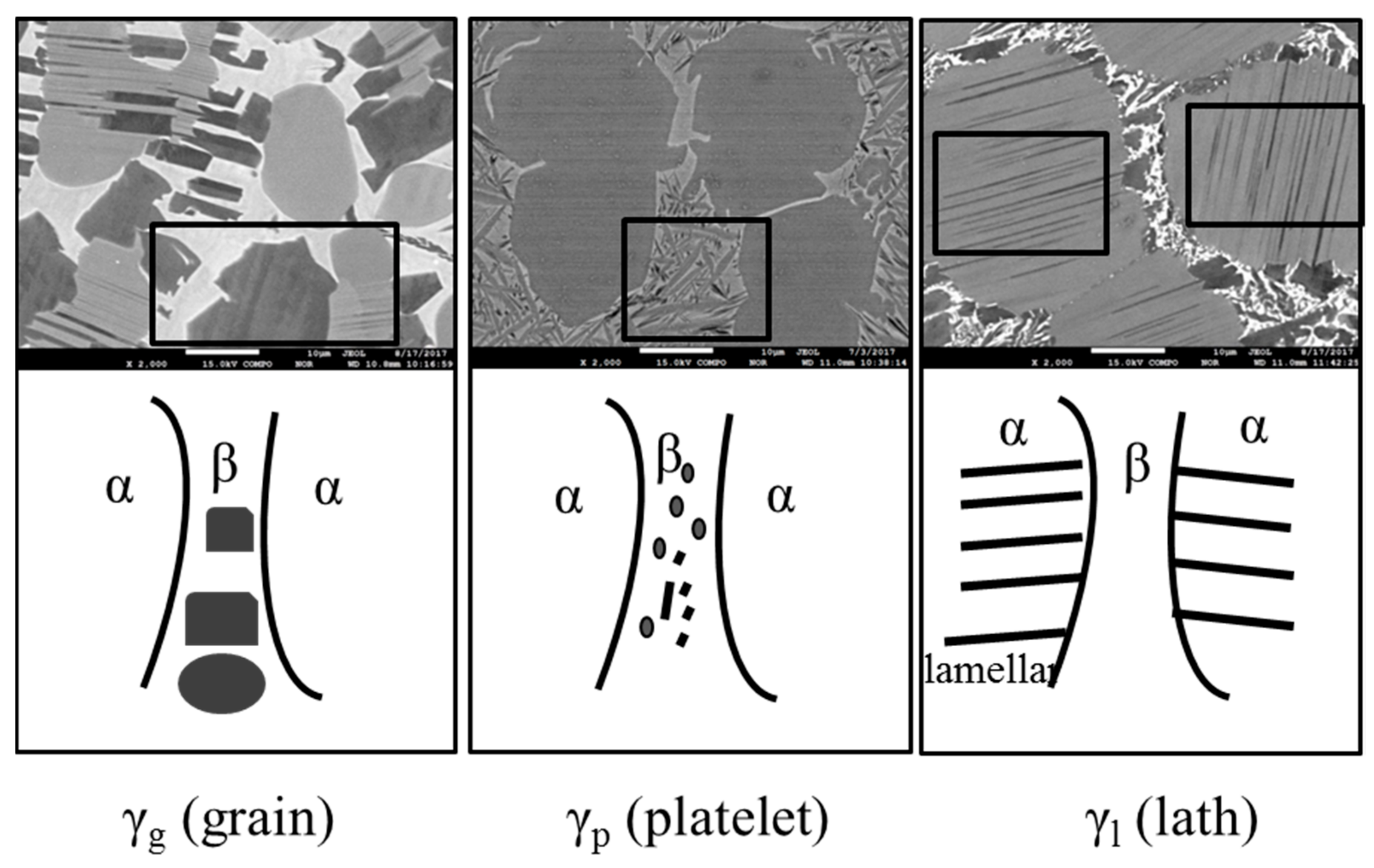 Metals 08 00731 g006