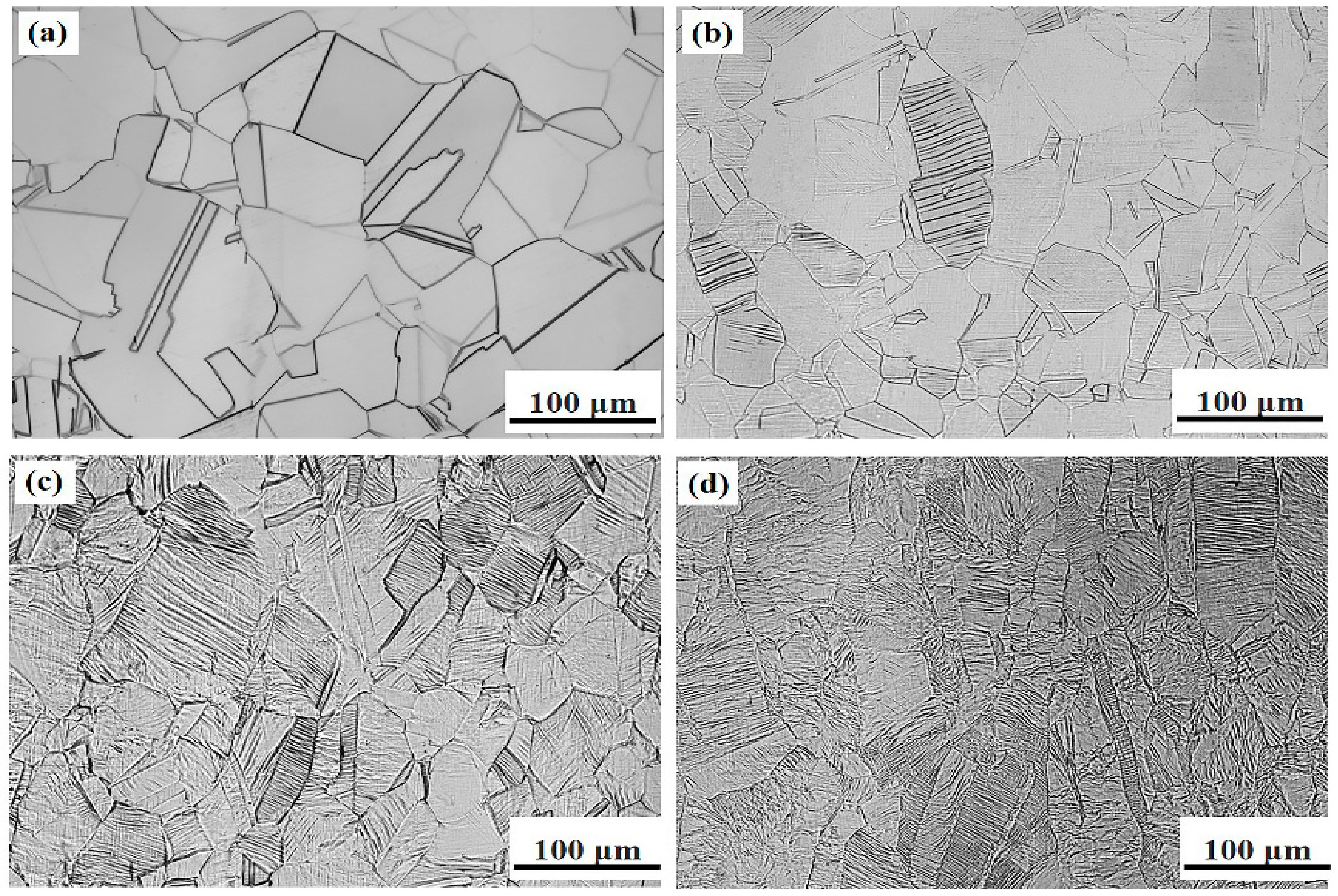 Metals 08 00742 g001 Metals 08 00742 g001