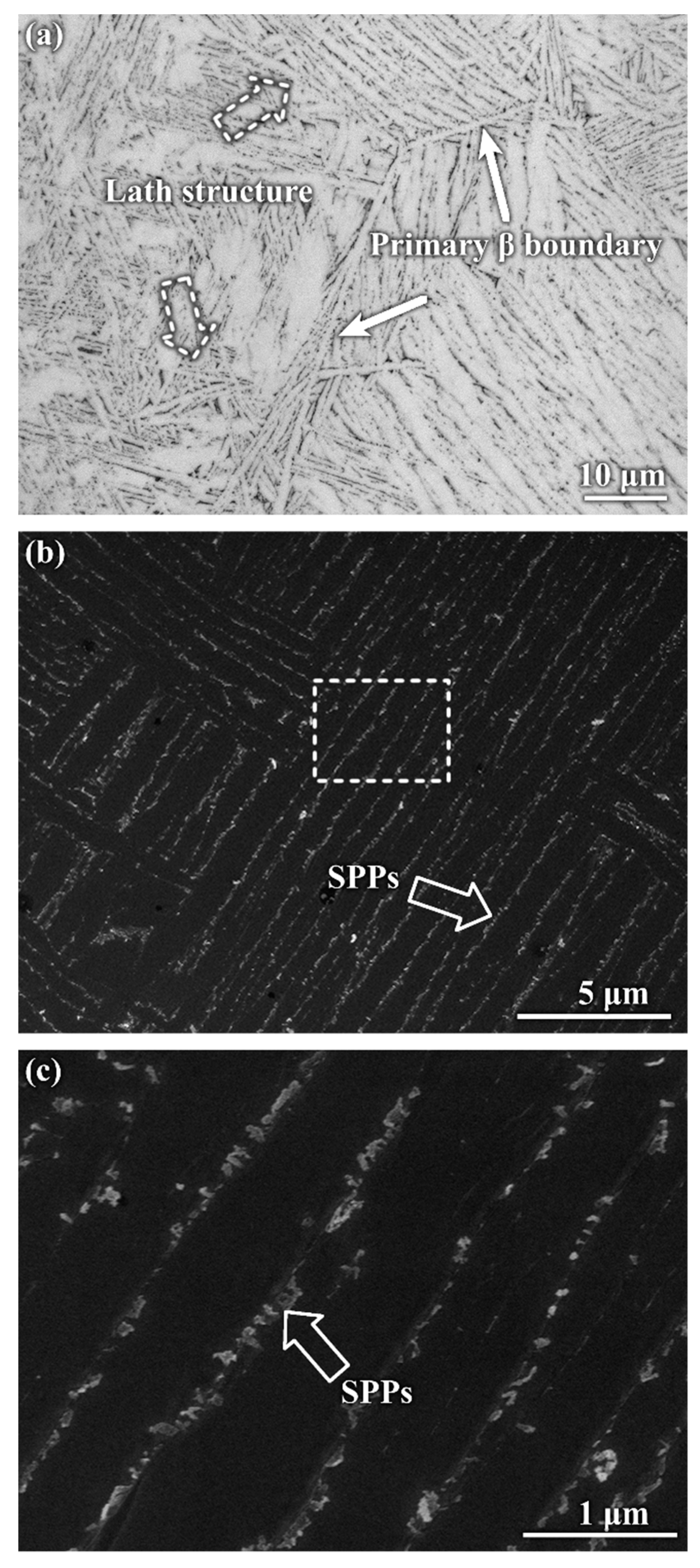 Metals 08 00759 g002